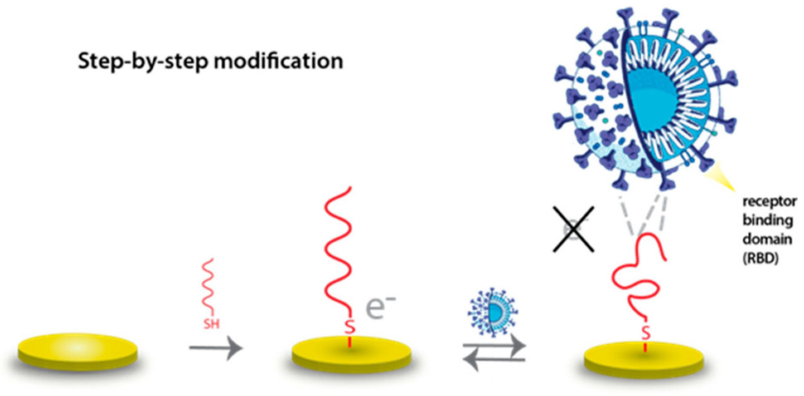 Biosensors 15 00443 g007