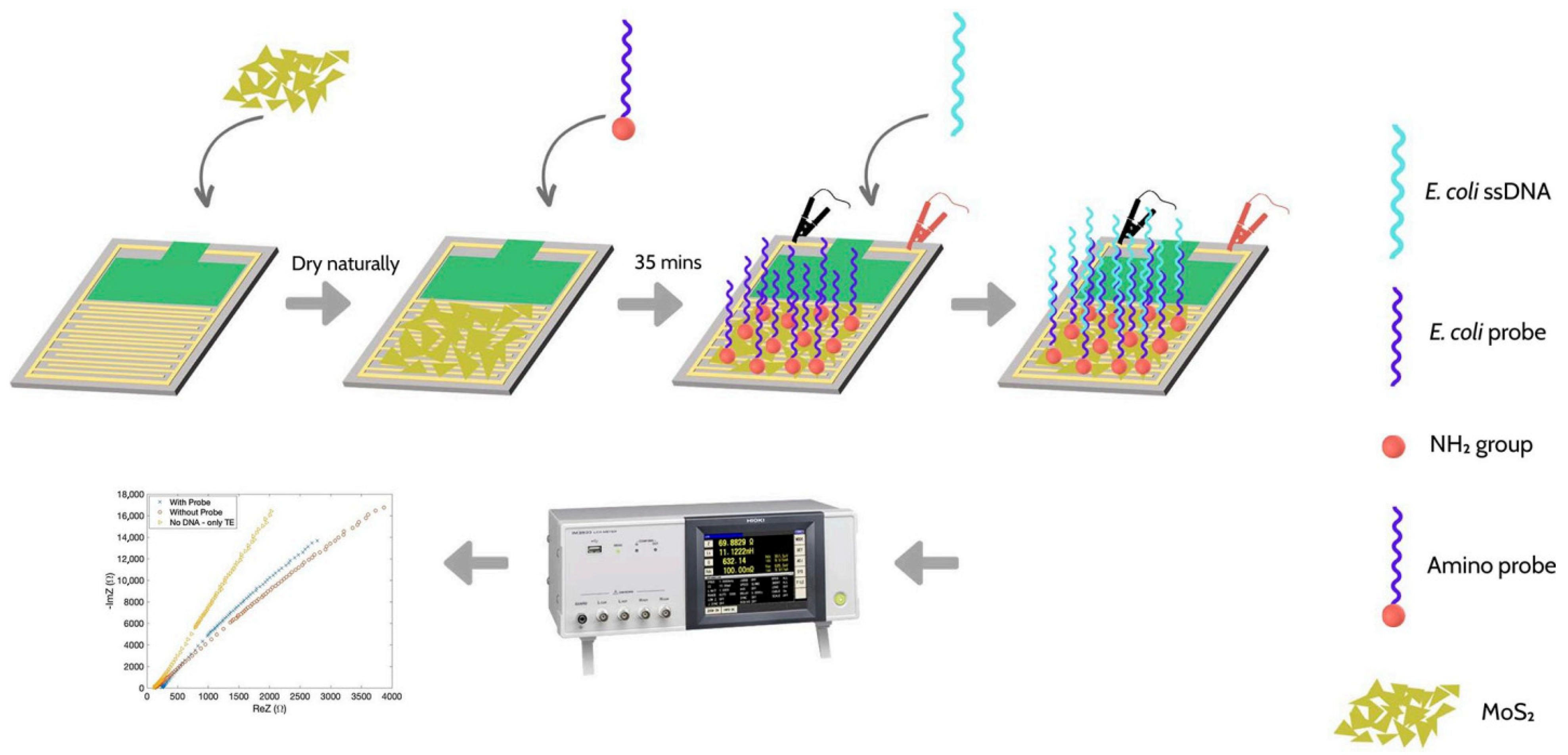 Biosensors 15 00443 g009