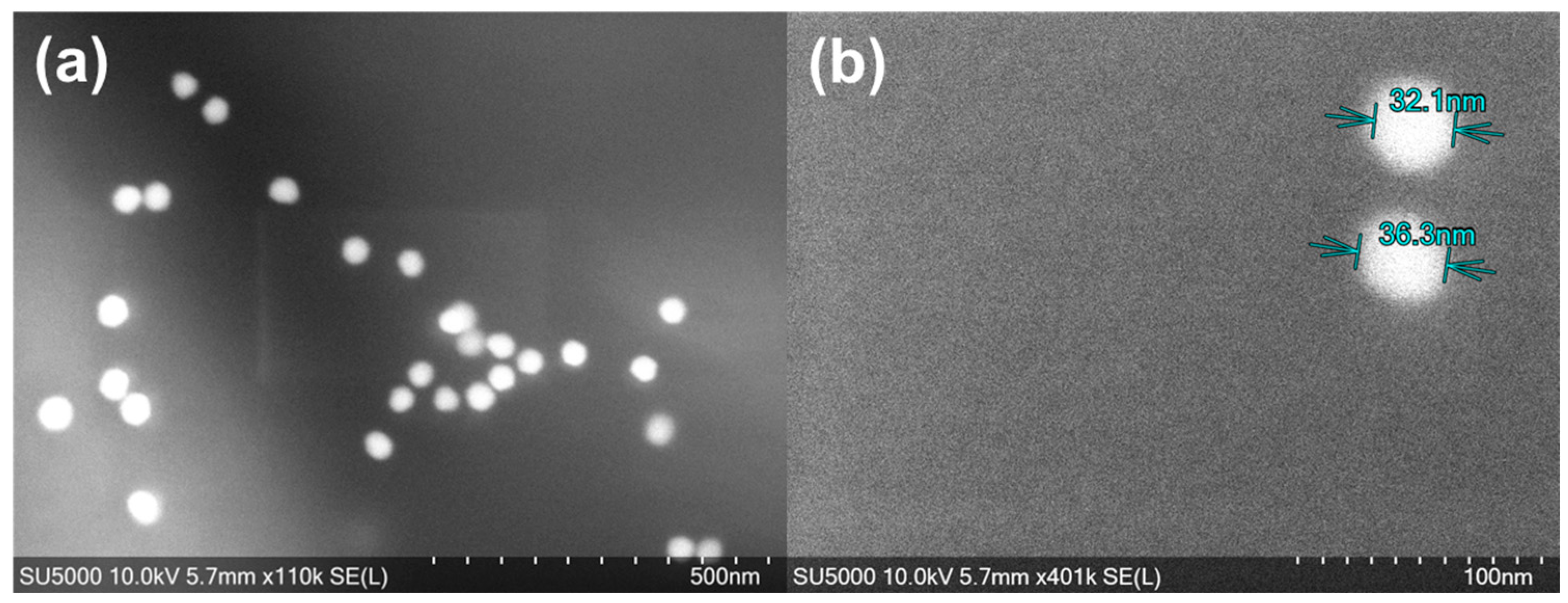 Biosensors 15 00445 g004