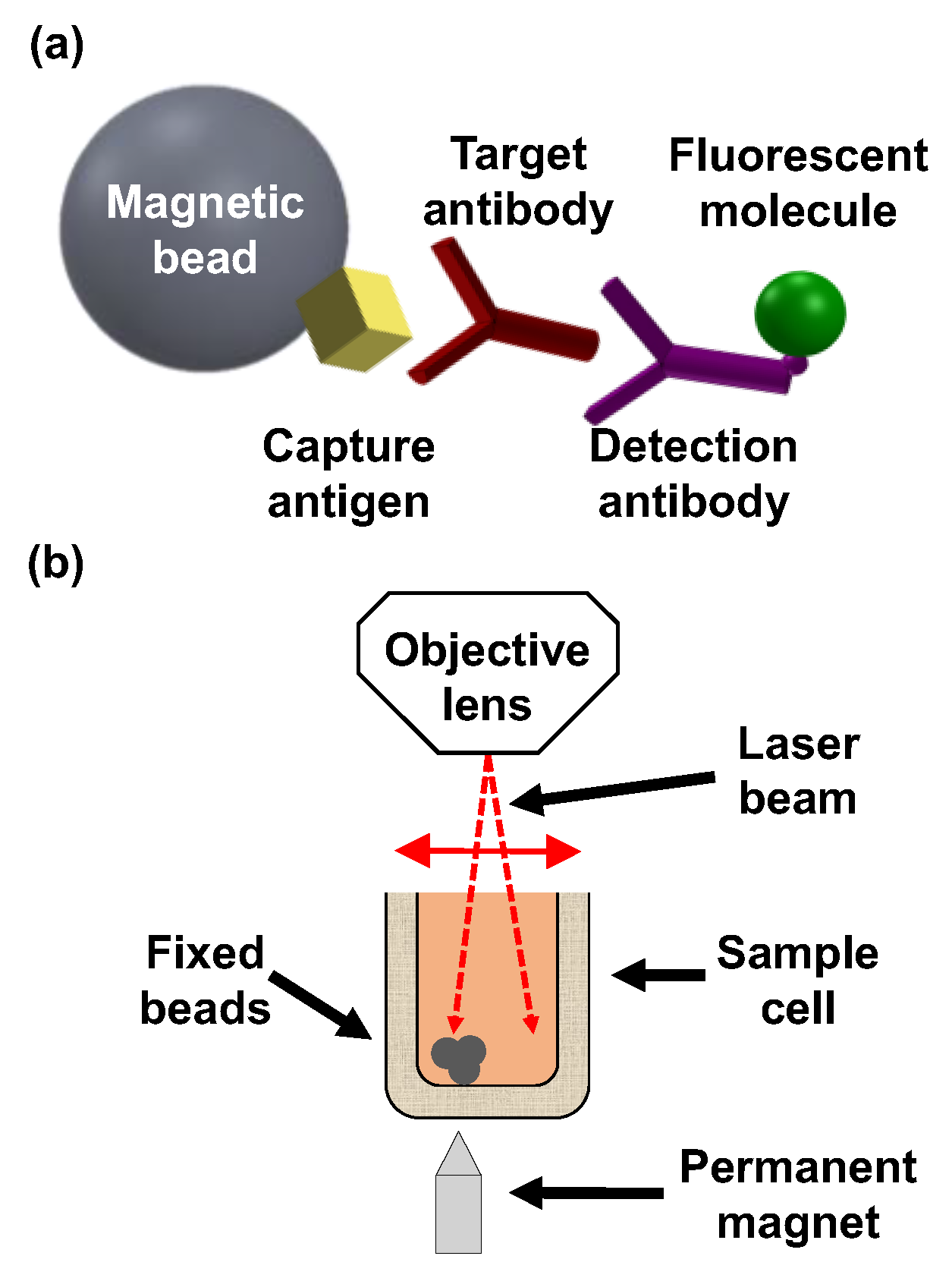 Biosensors 15 00453 g001
