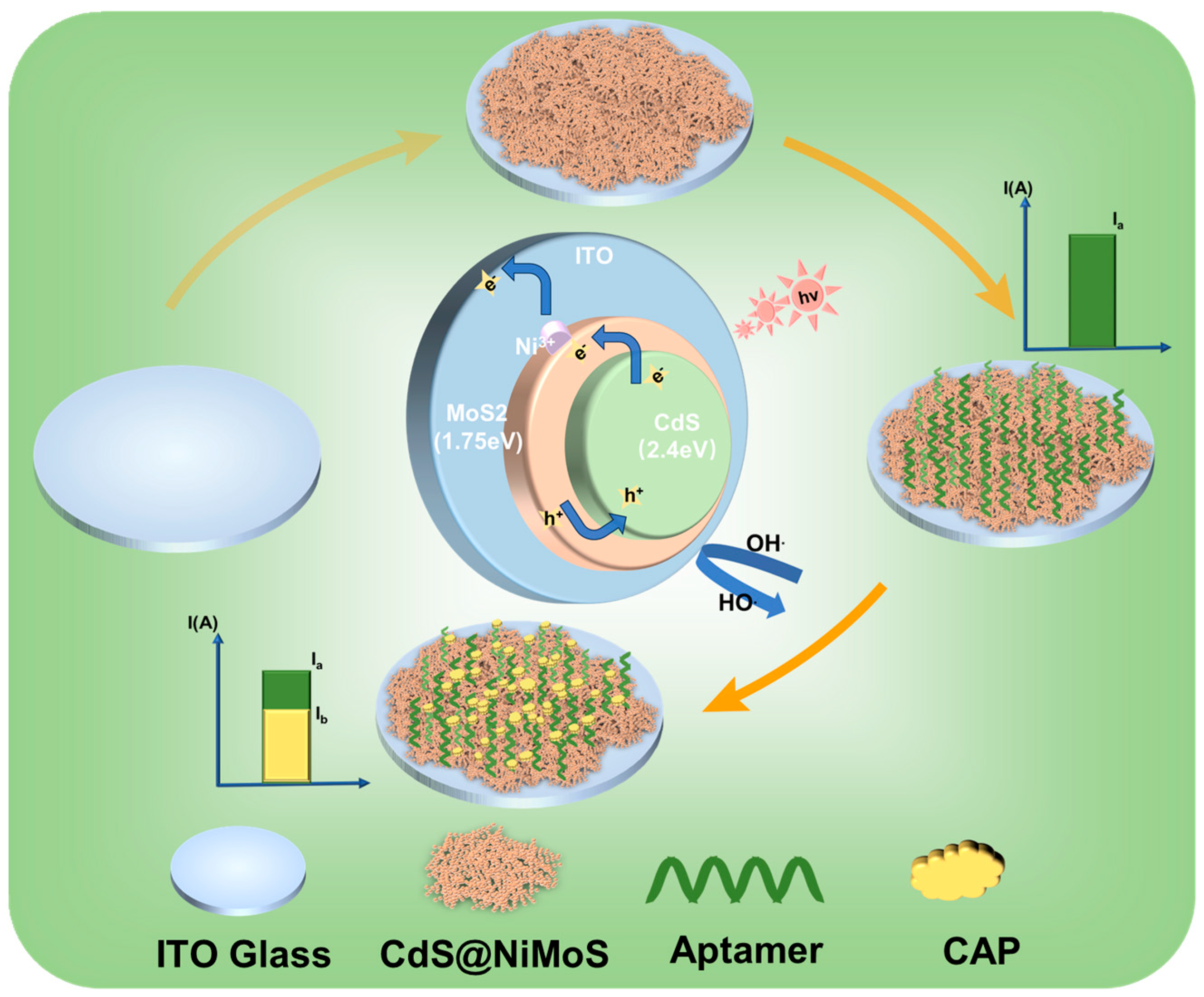 Biosensors 15 00454 g001