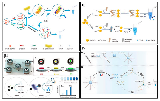 Biosensors 15 00460 g002