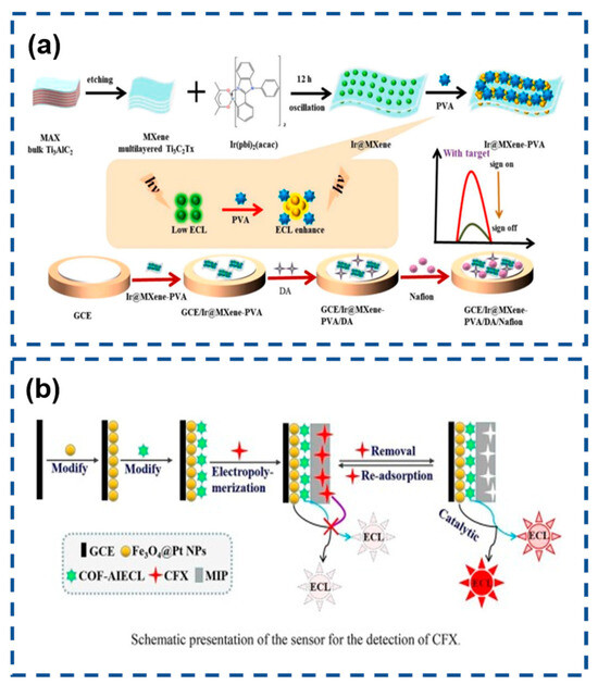 Biosensors 15 00471 g010