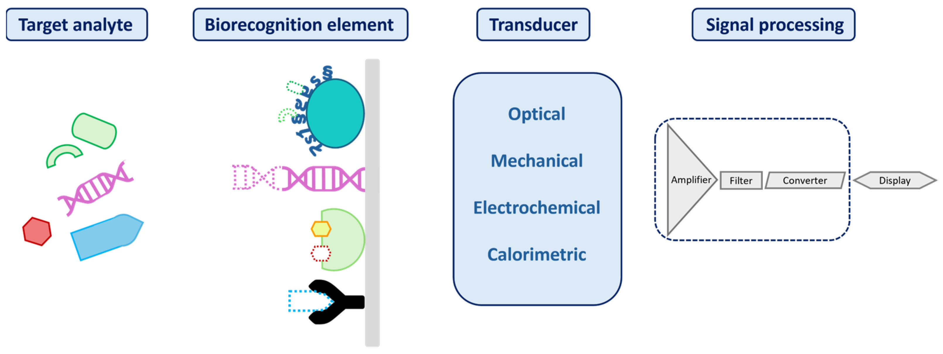 Biosensors 15 00473 g001