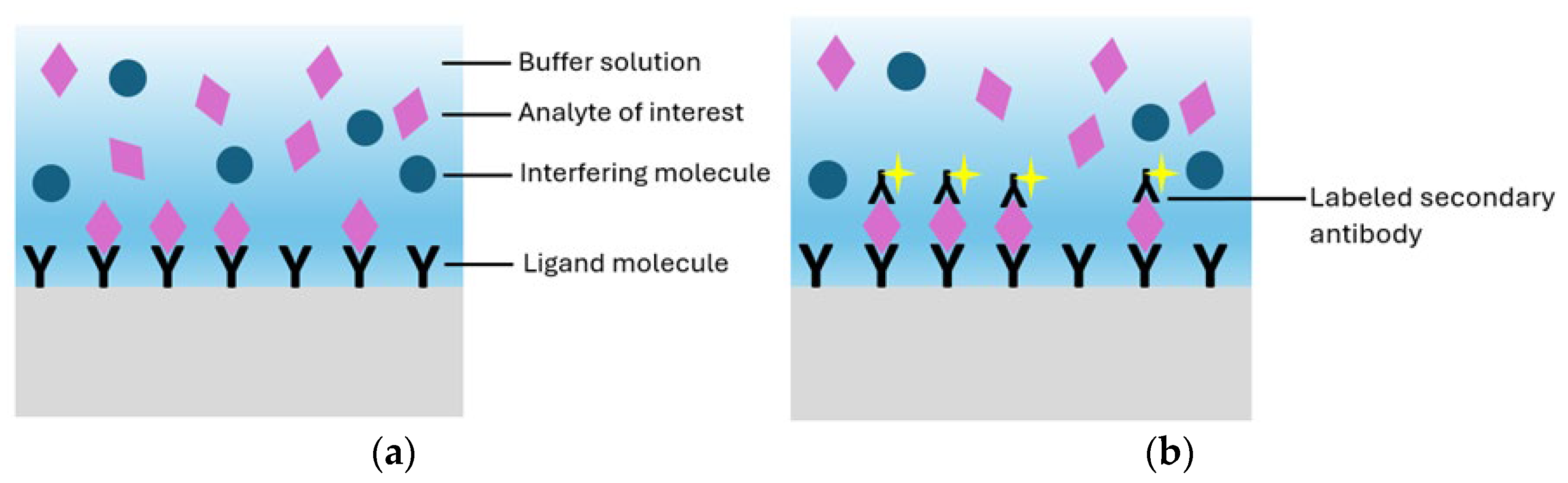 Biosensors 15 00473 g002