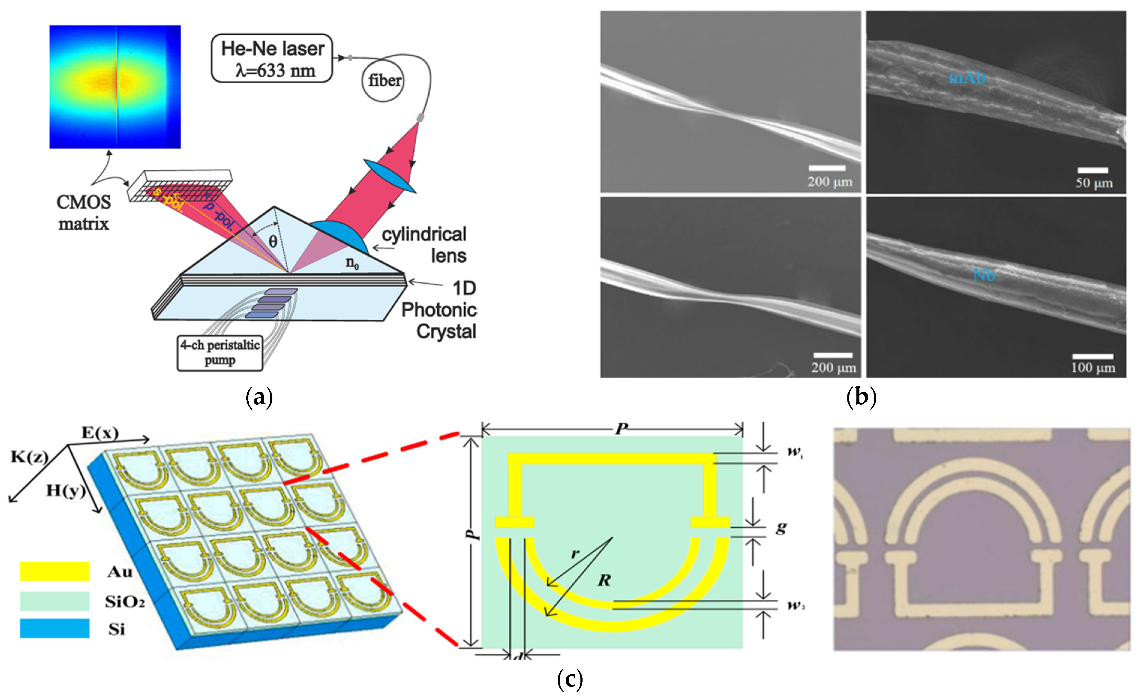 Biosensors 15 00473 g005