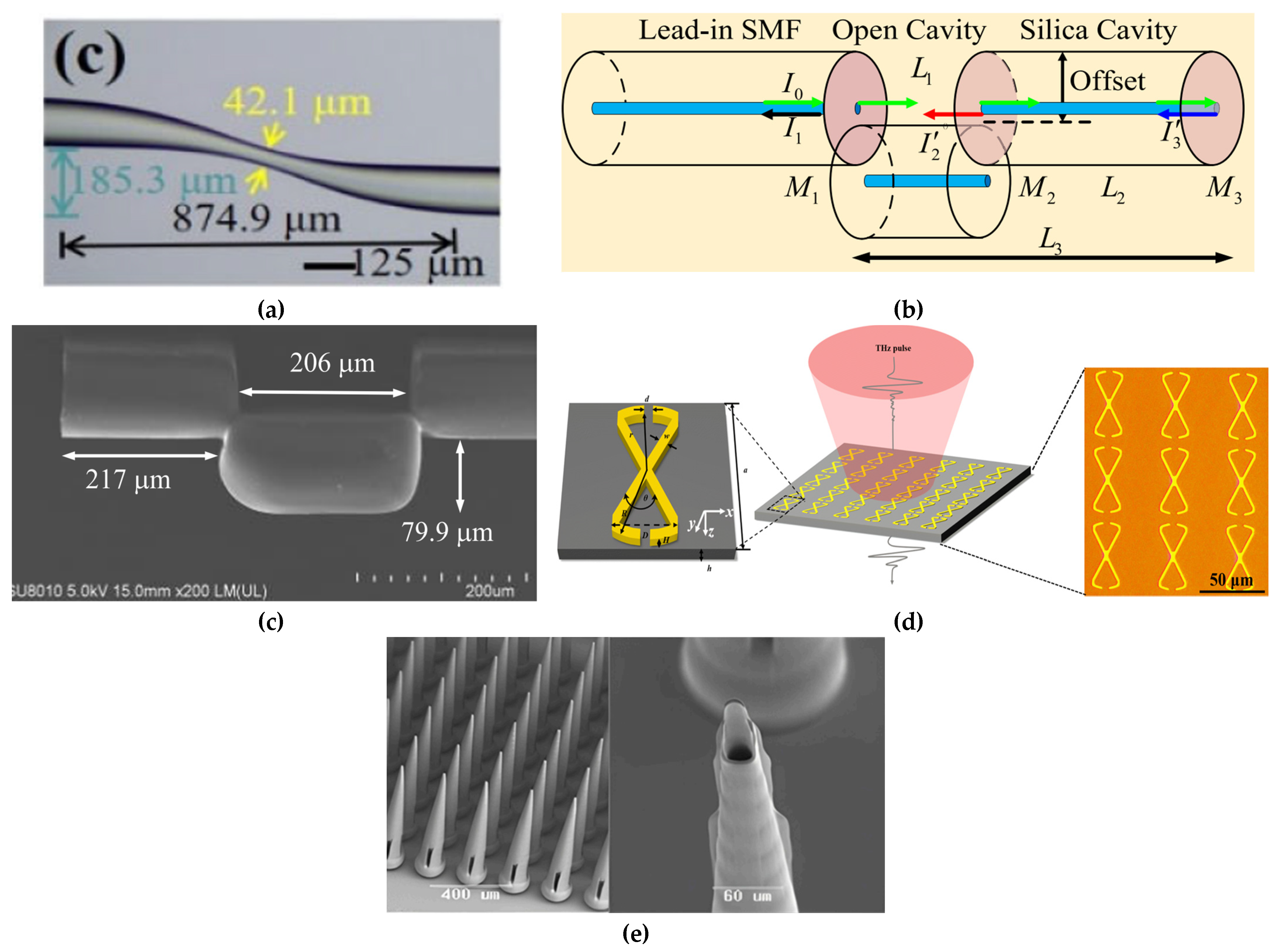 Biosensors 15 00473 g006
