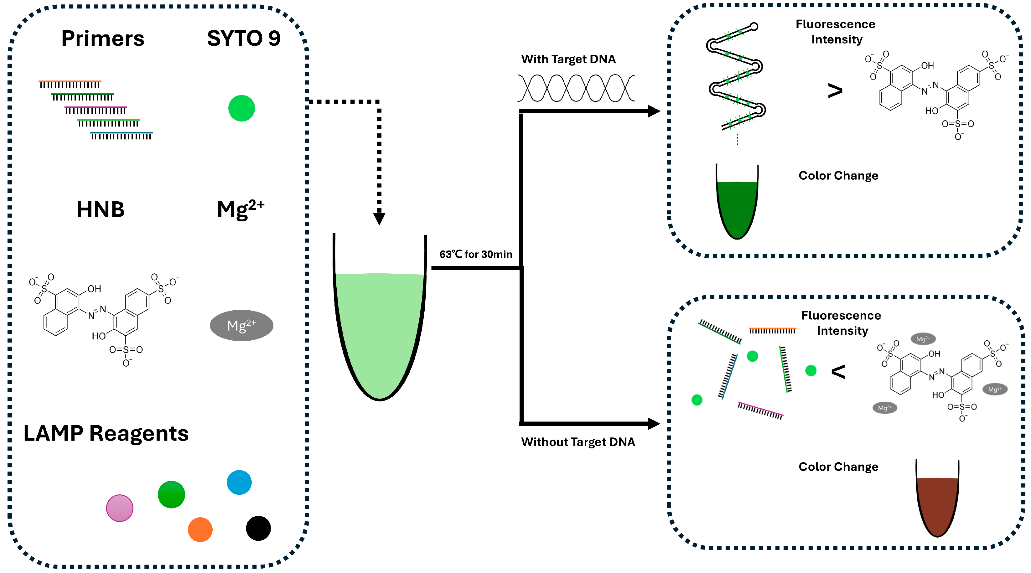 Biosensors 15 00476 g001