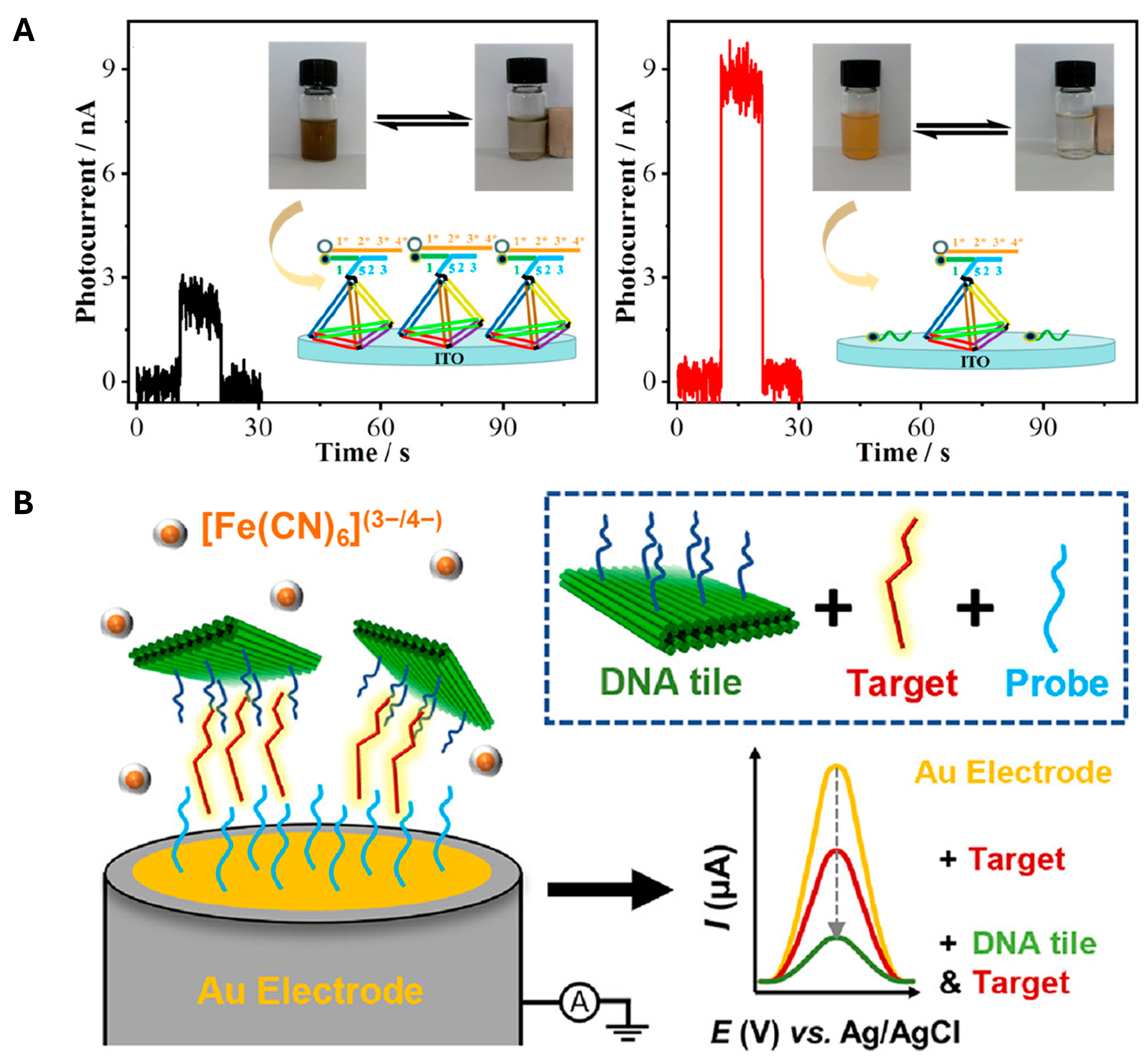 Biosensors 15 00476 g002