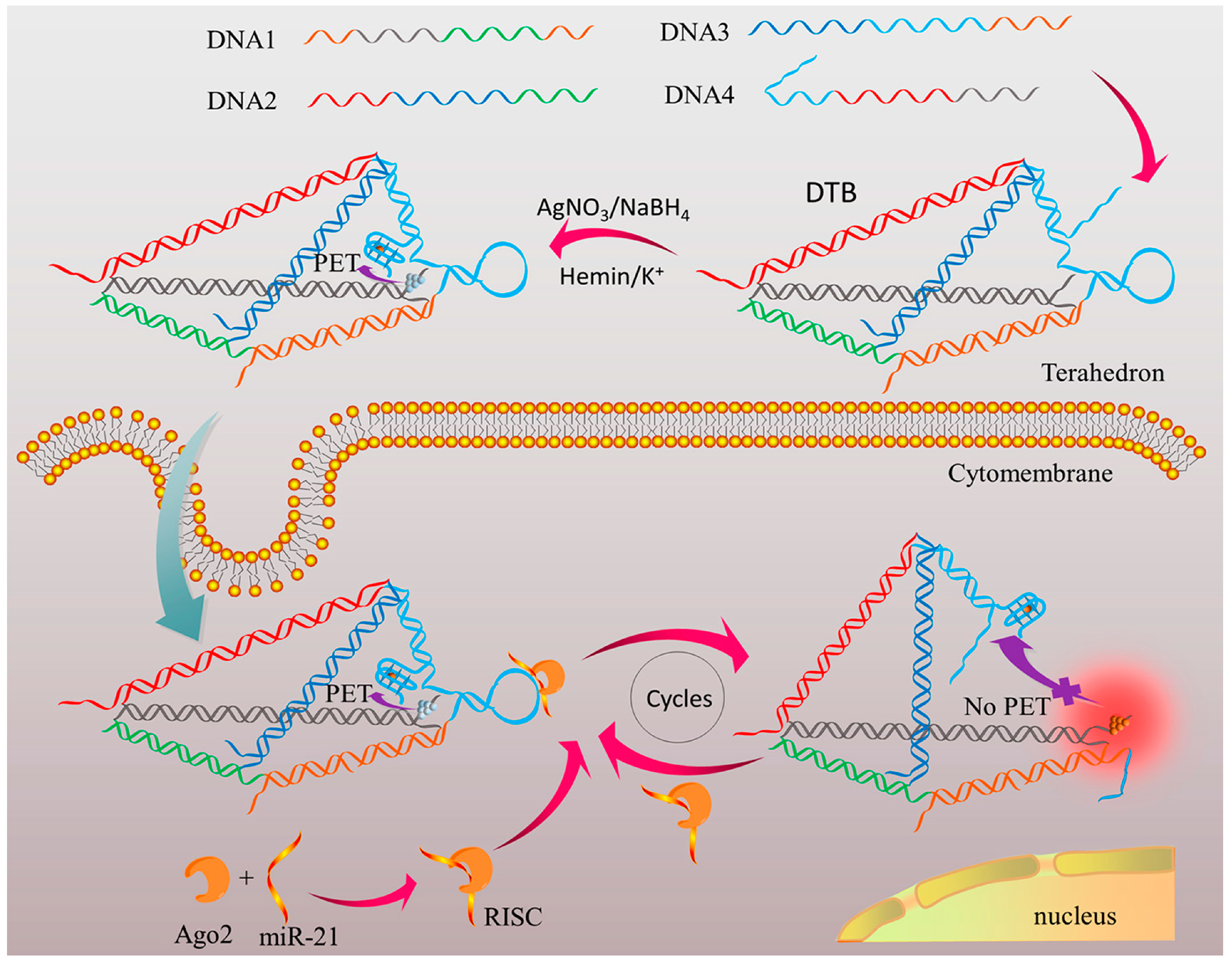 Biosensors 15 00476 g003