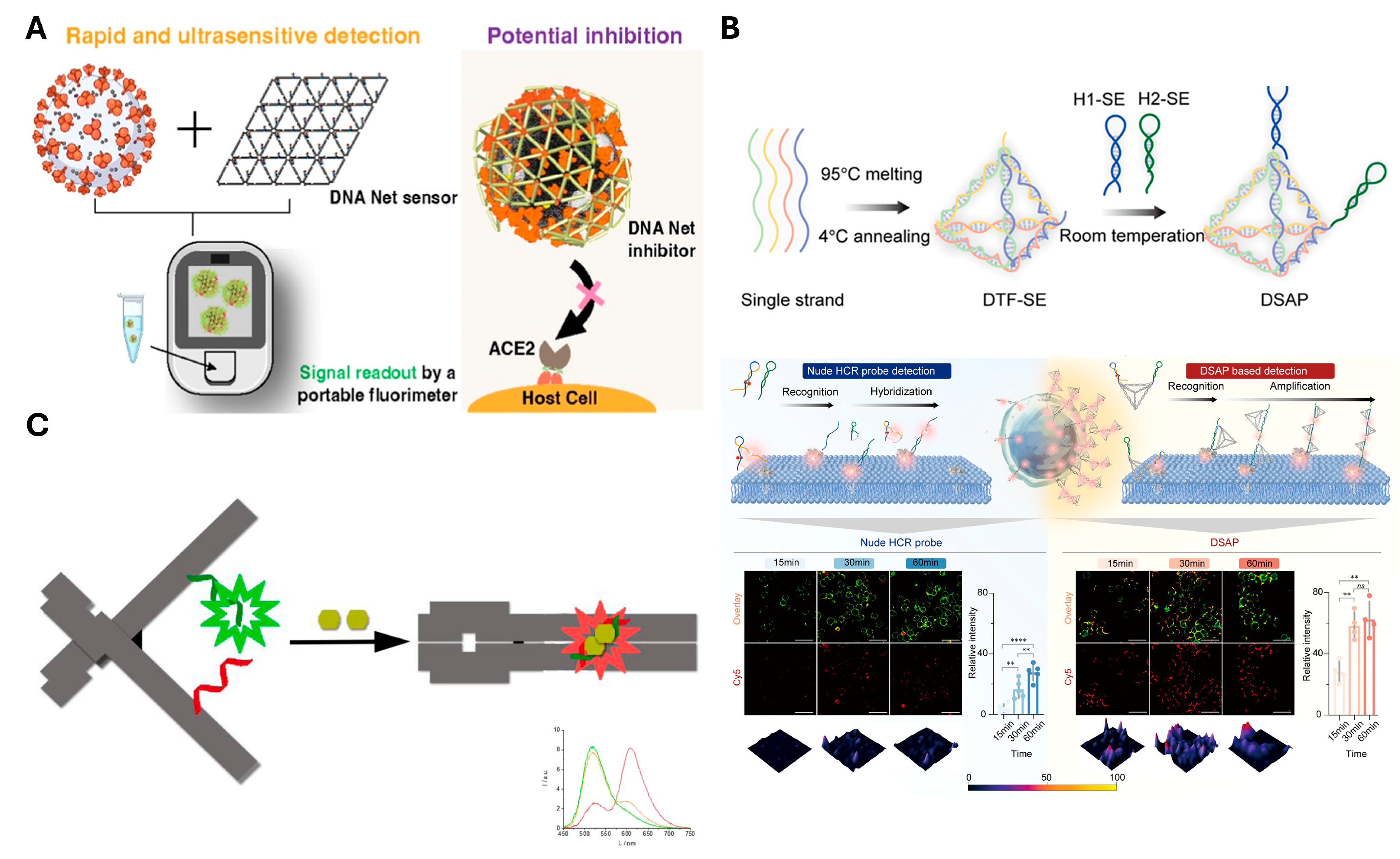 Biosensors 15 00476 g005