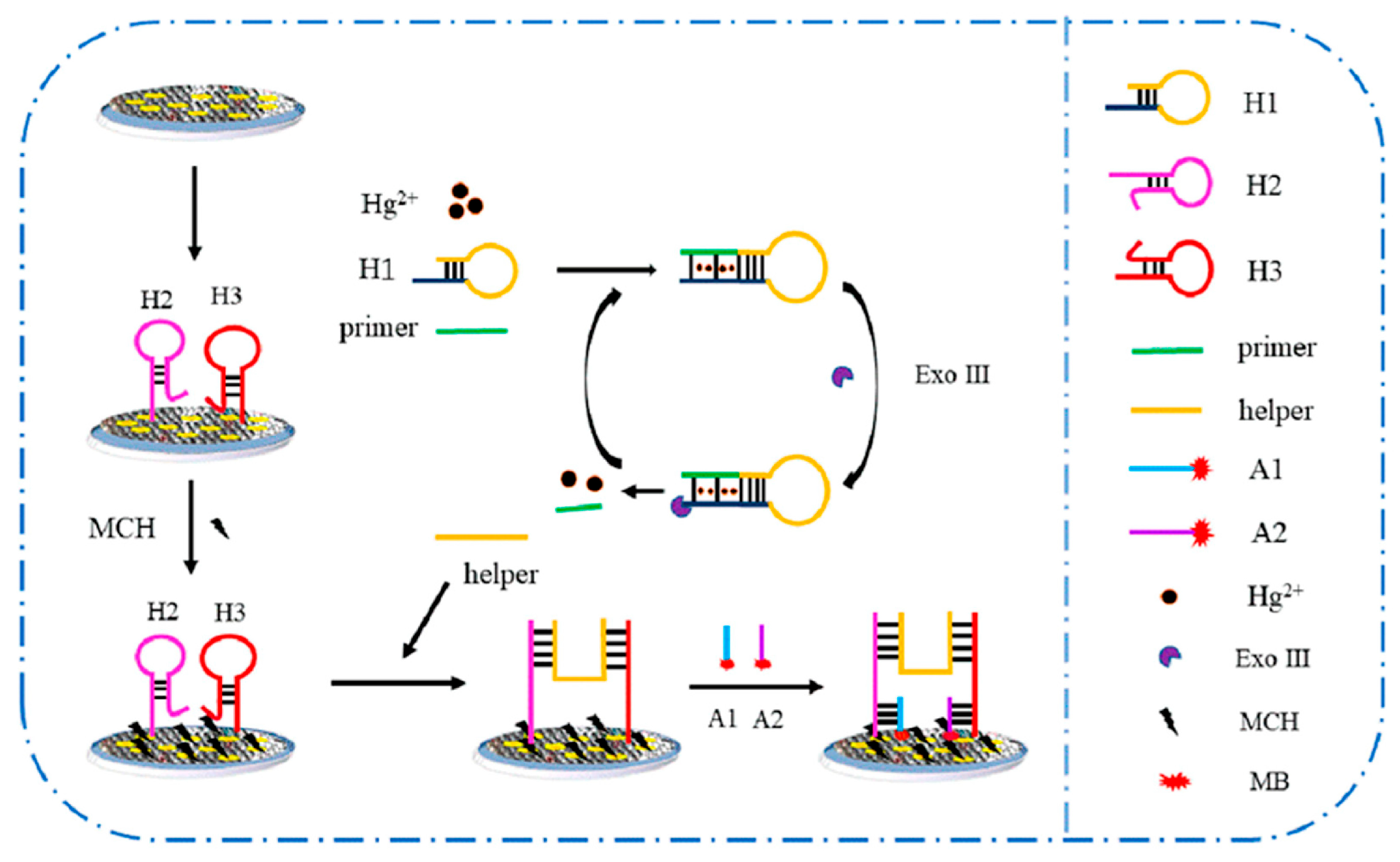 Biosensors 15 00505 g002