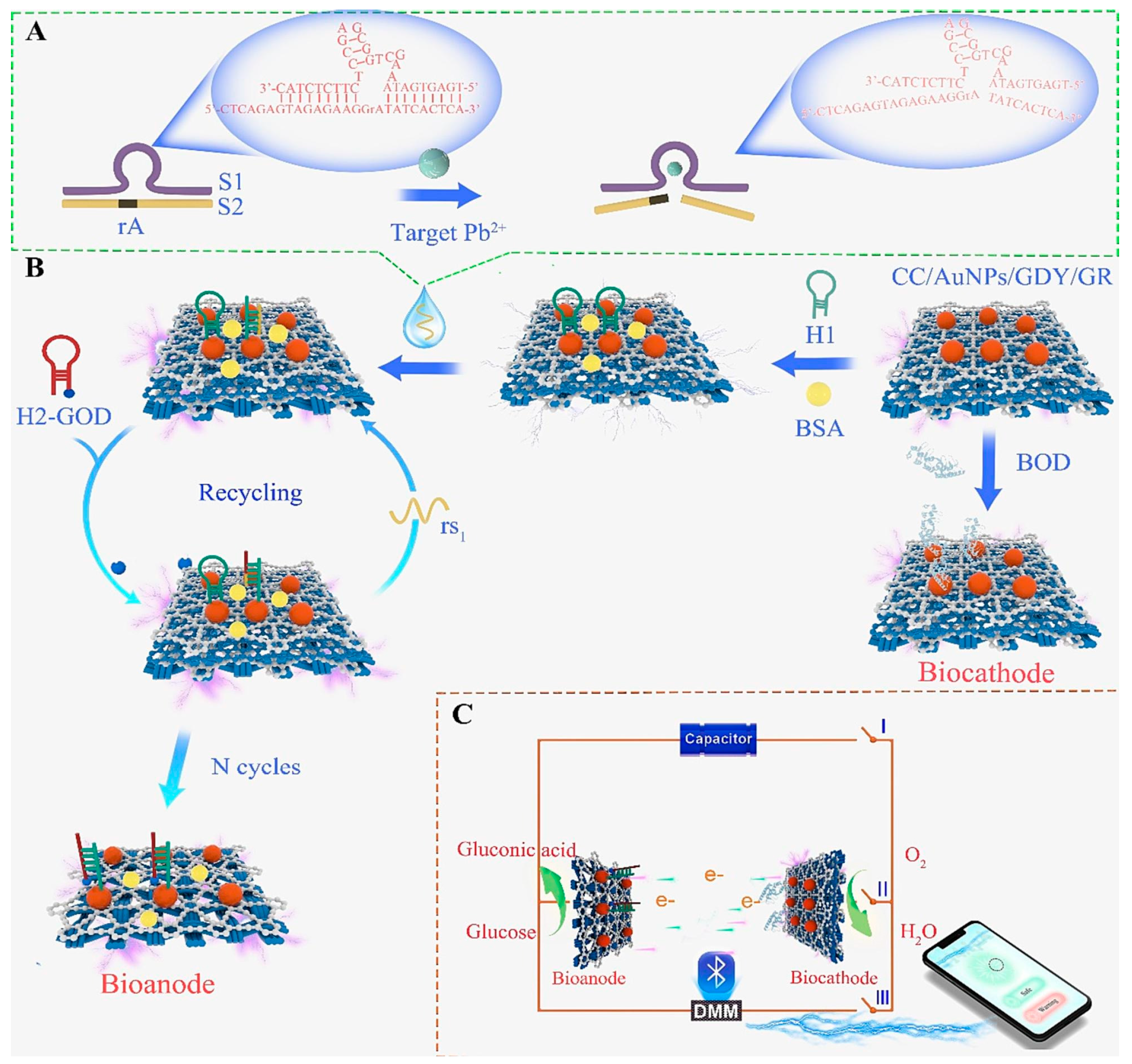 Biosensors 15 00505 g003