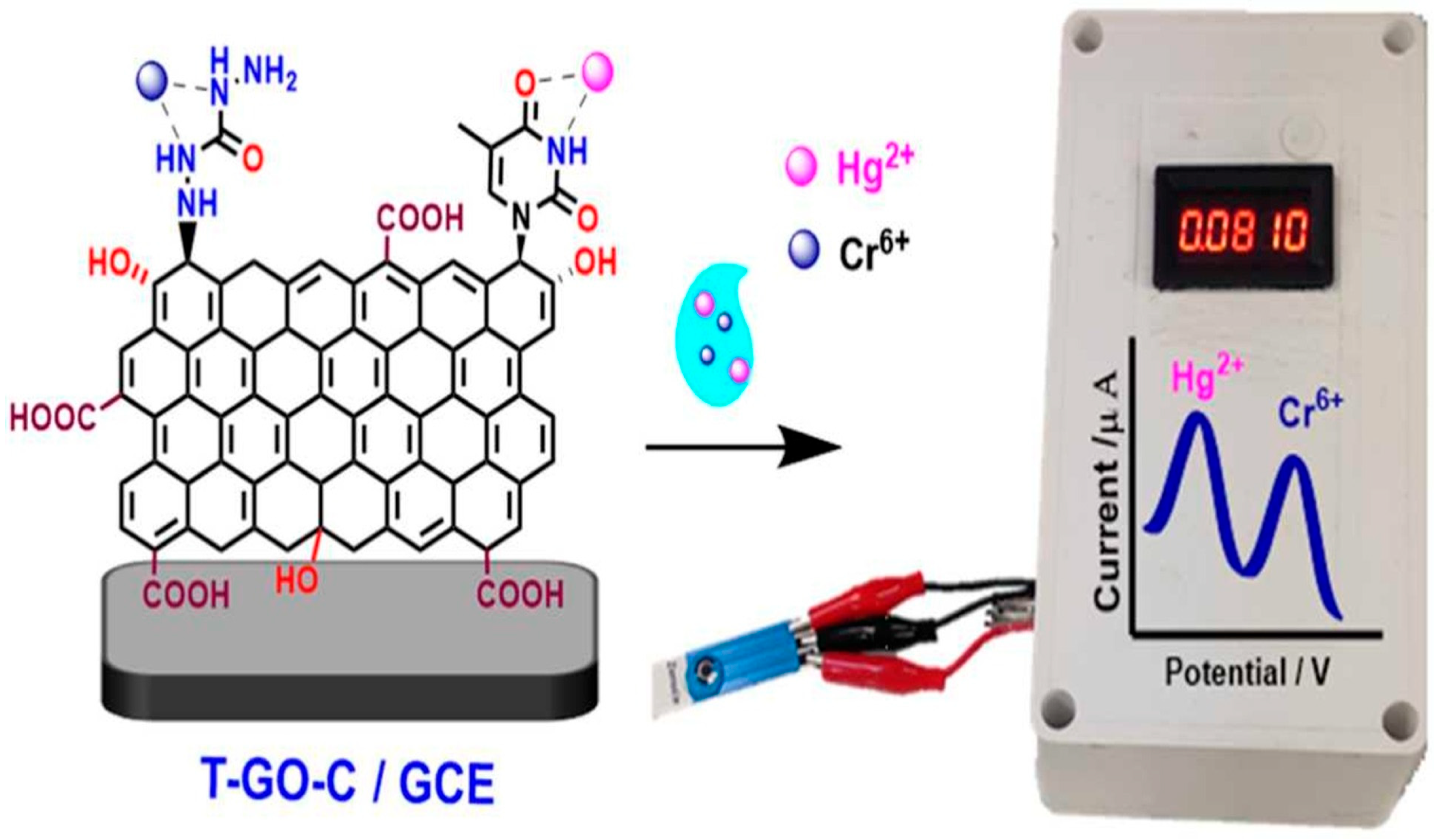 Biosensors 15 00505 g005