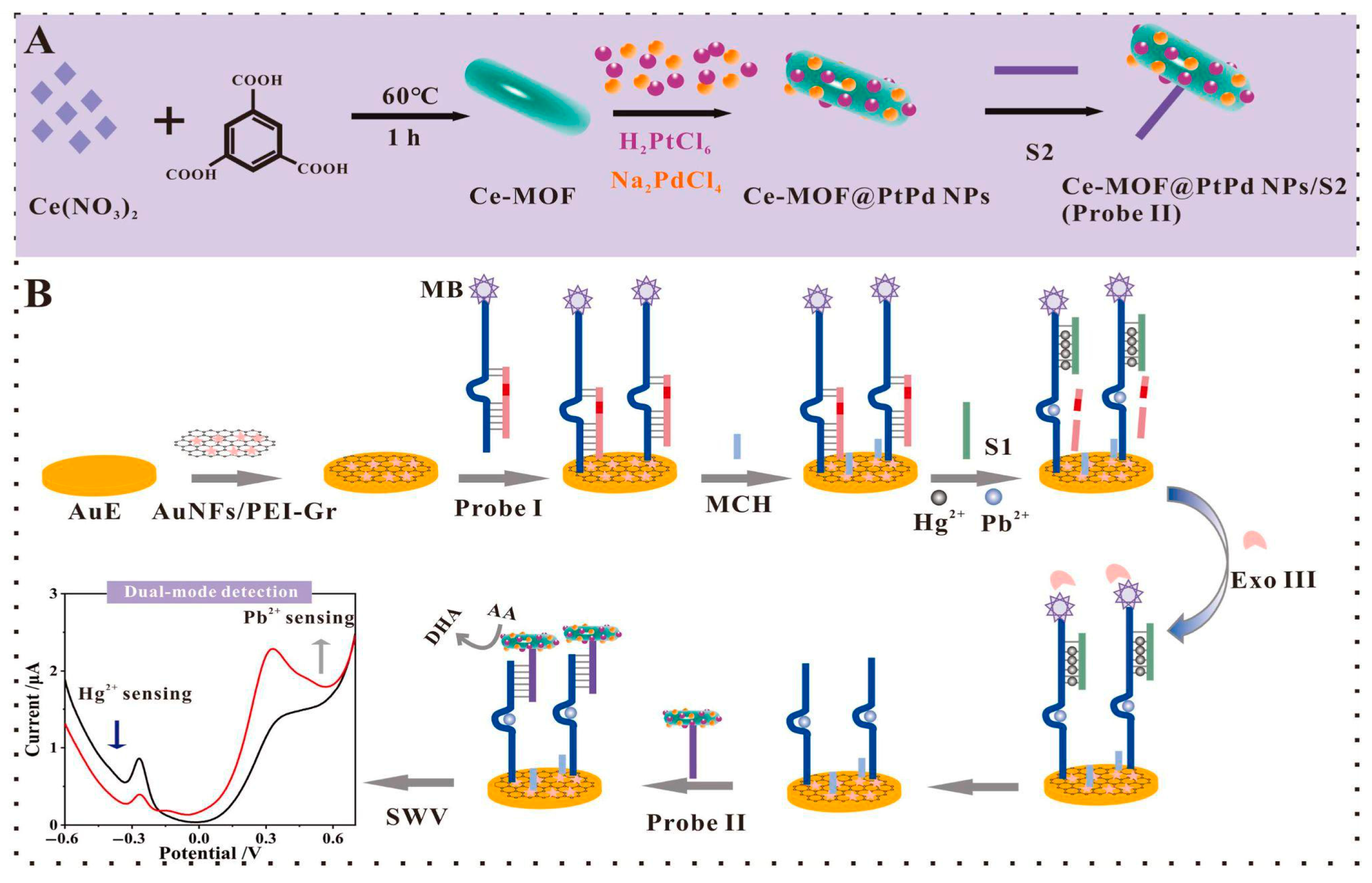 Biosensors 15 00505 g007