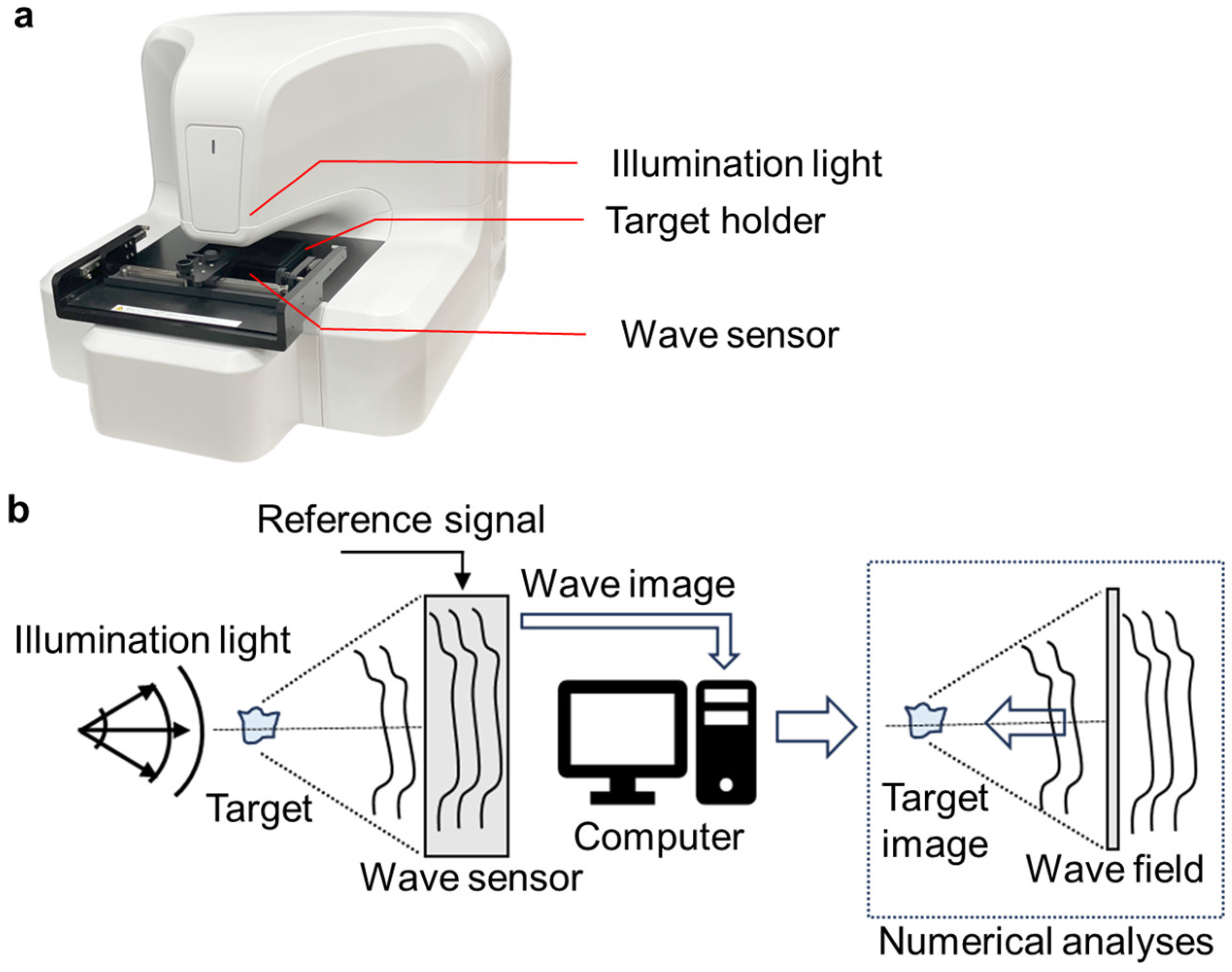 Biosensors 15 00515 g002 Biosensors 15 00515 g002