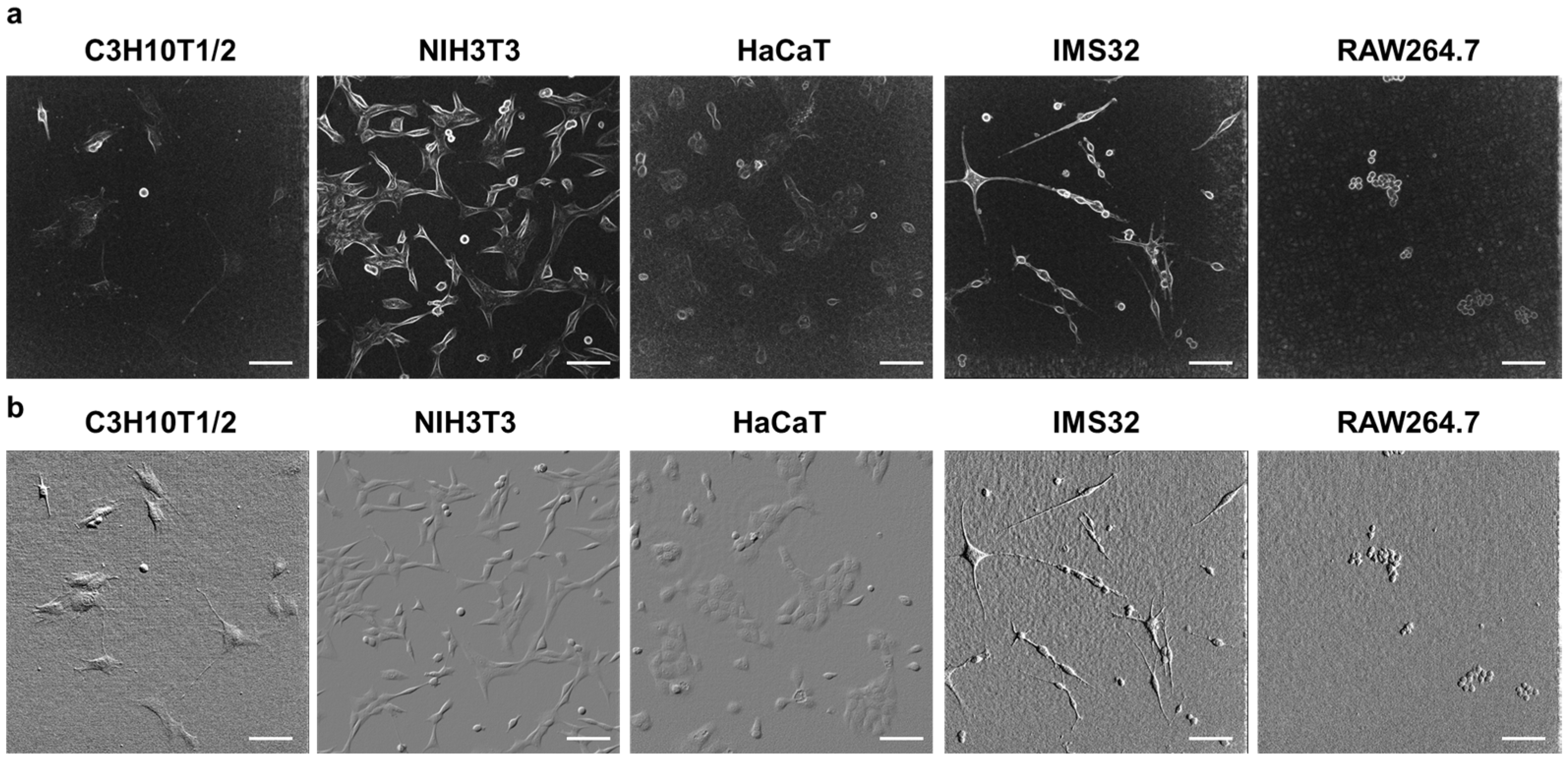 Biosensors 15 00515 g006 Biosensors 15 00515 g006