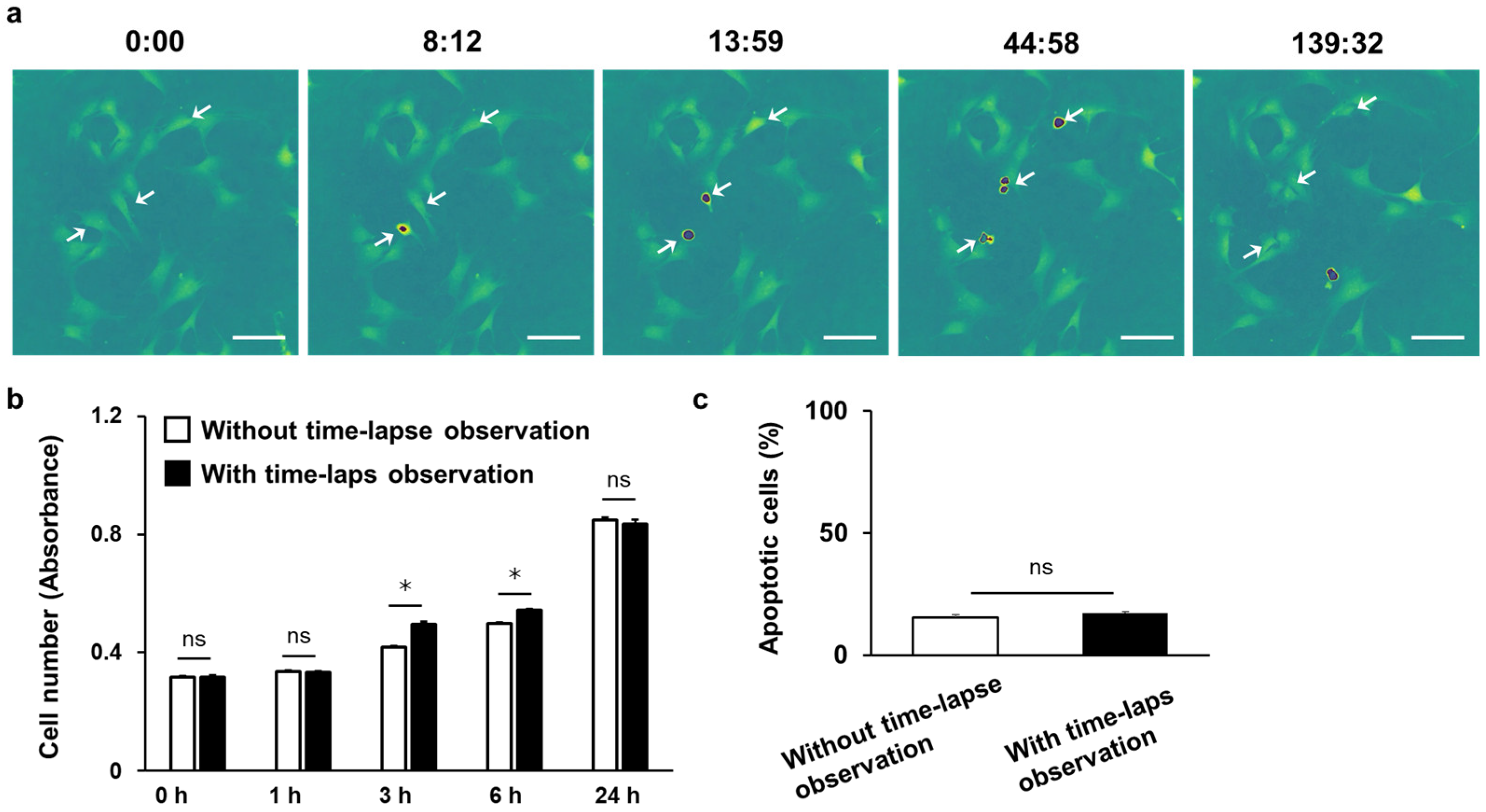 Biosensors 15 00515 g007 Biosensors 15 00515 g007