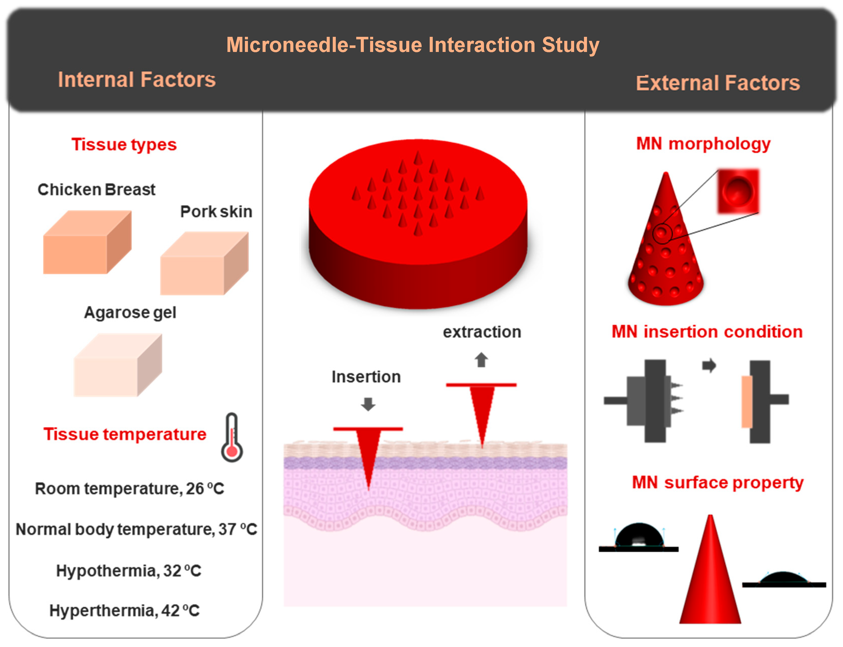 Biosensors 15 00521 g001