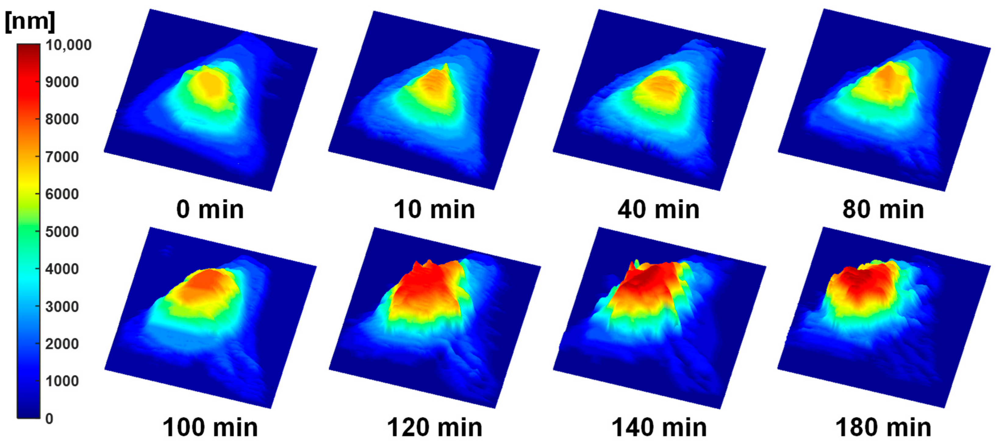 Biosensors 15 00522 g003