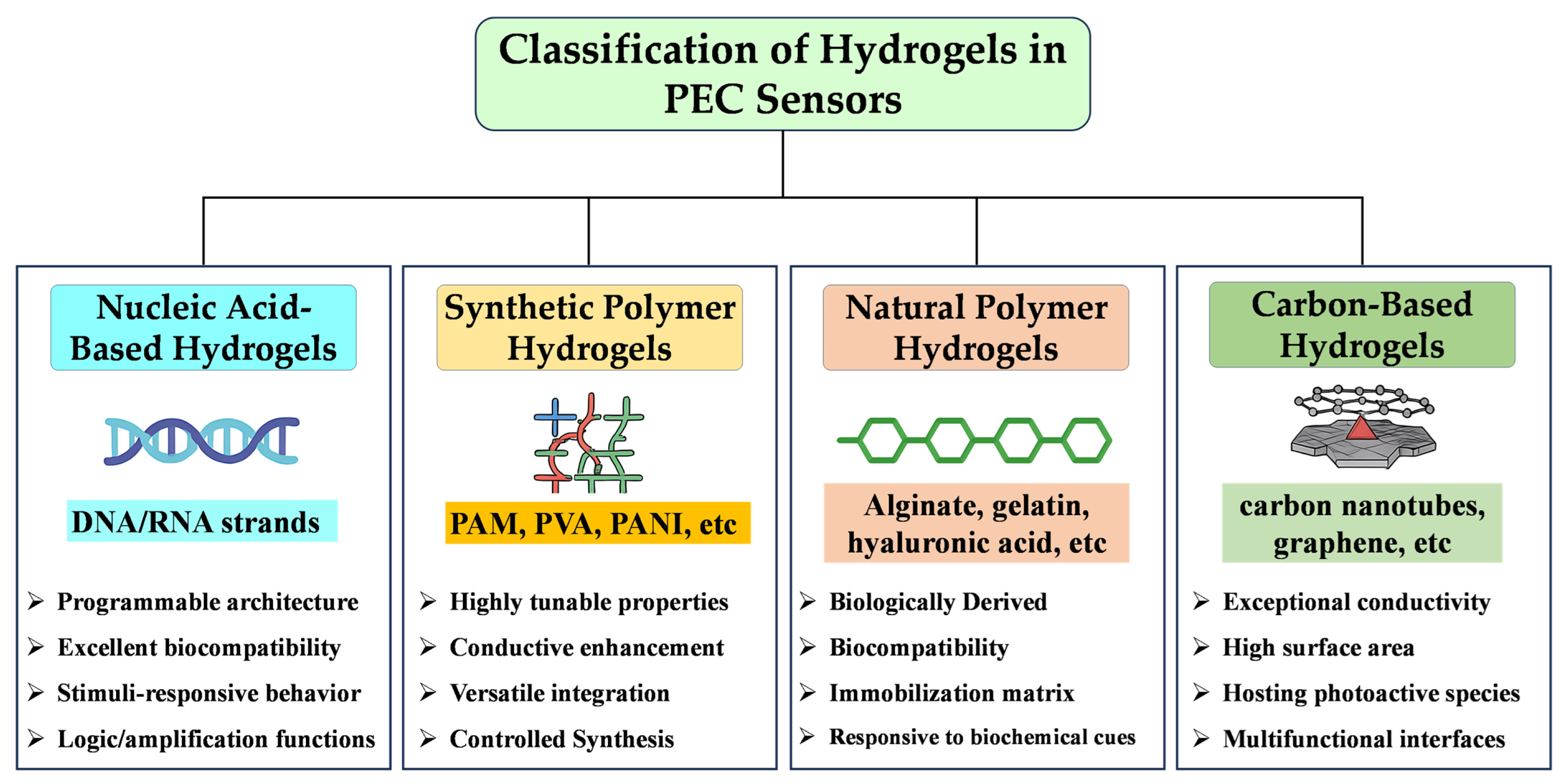 Biosensors 15 00524 g001