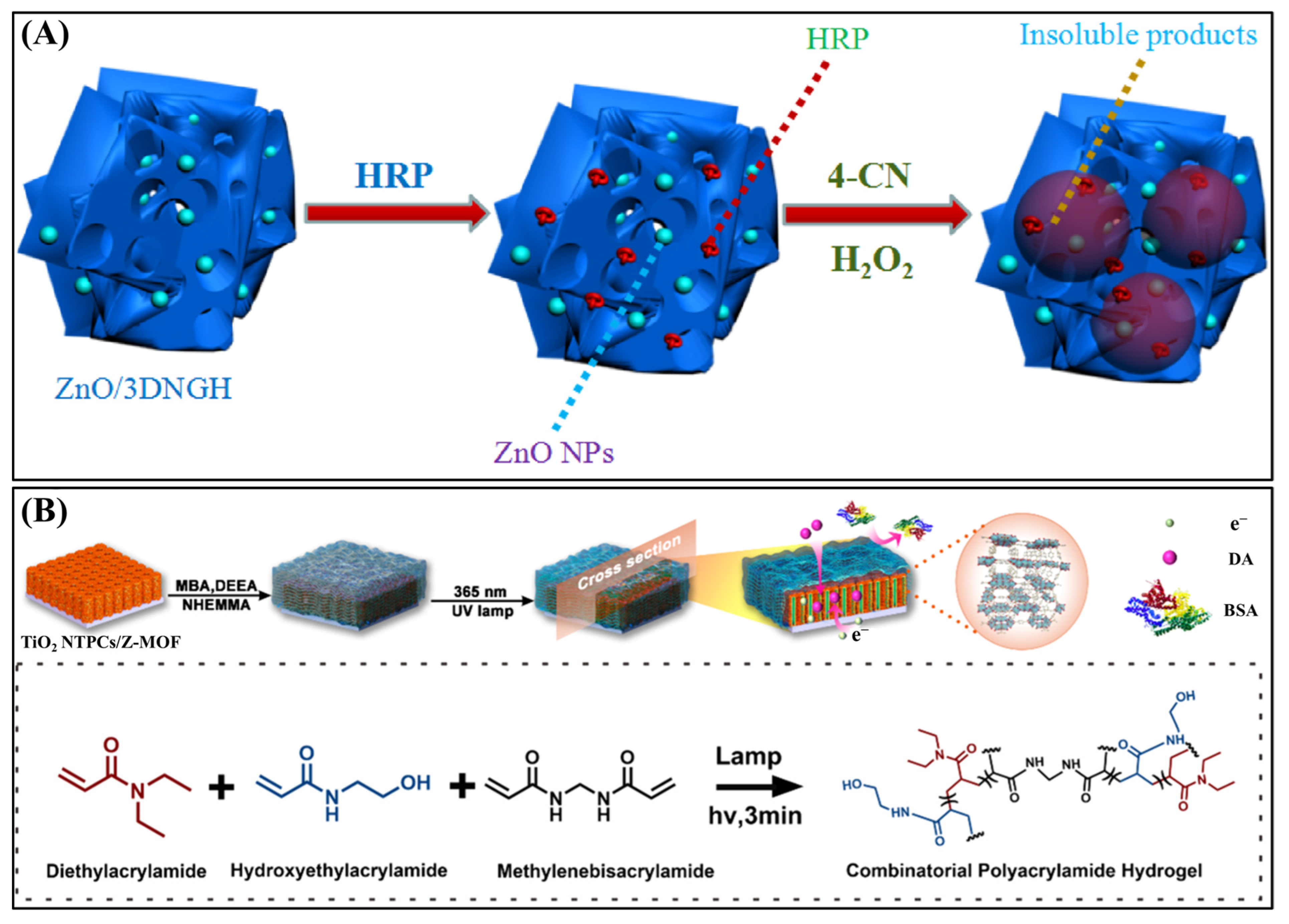 Biosensors 15 00524 g003