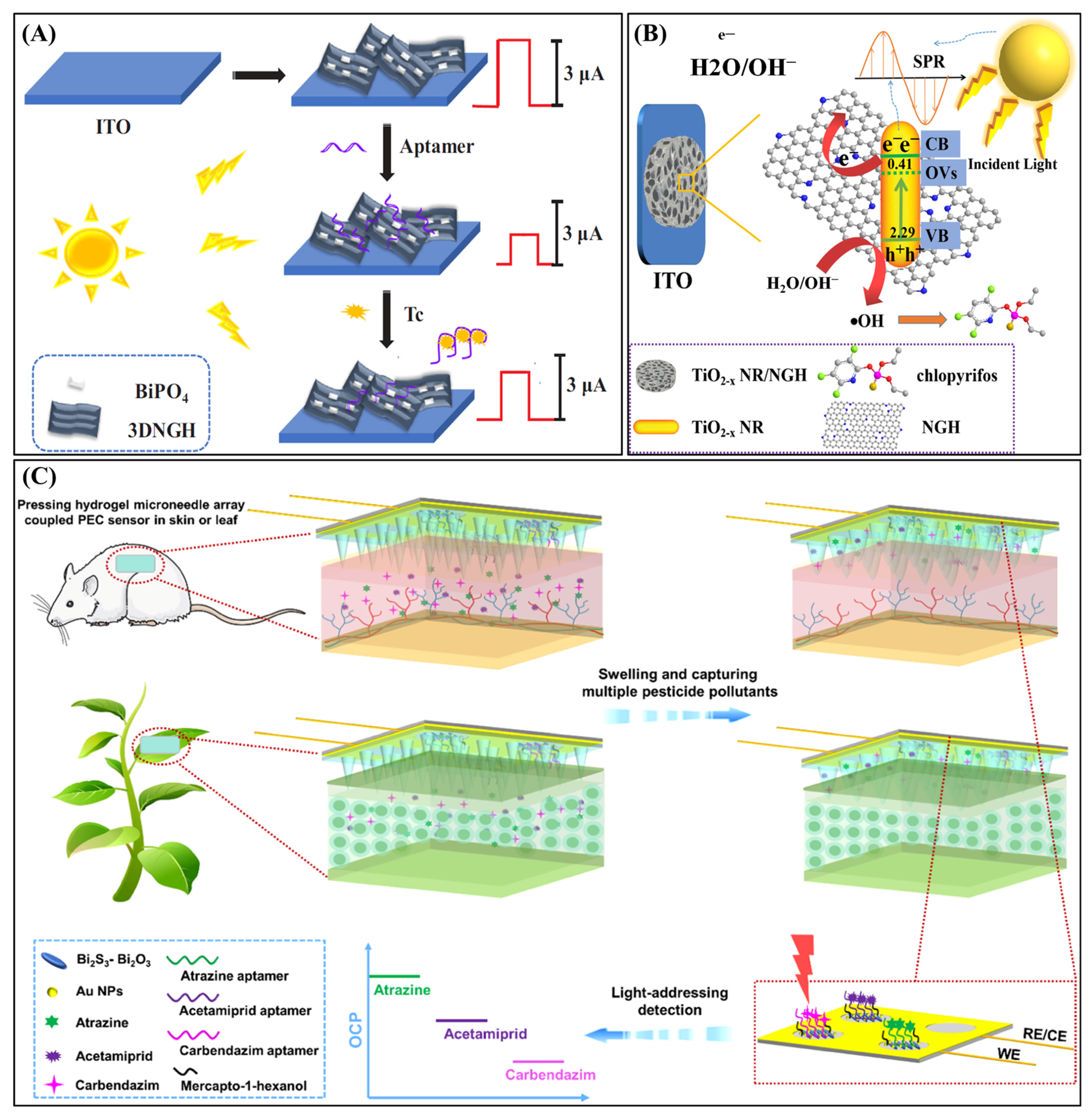 Biosensors 15 00524 g005