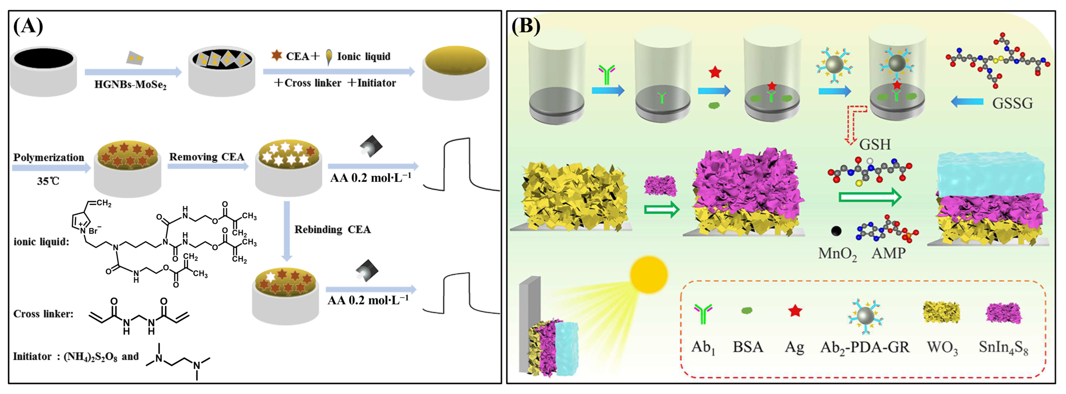 Biosensors 15 00524 g009