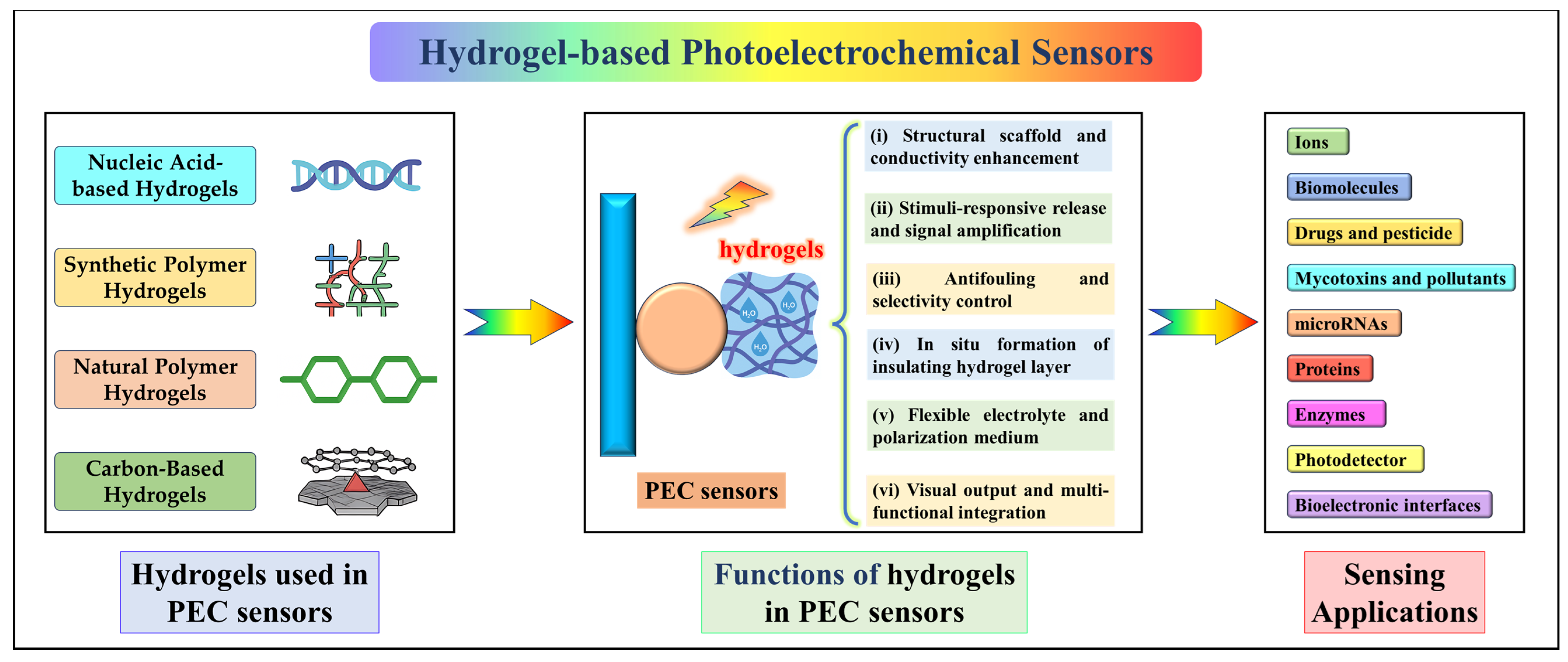 Biosensors 15 00524 sch001