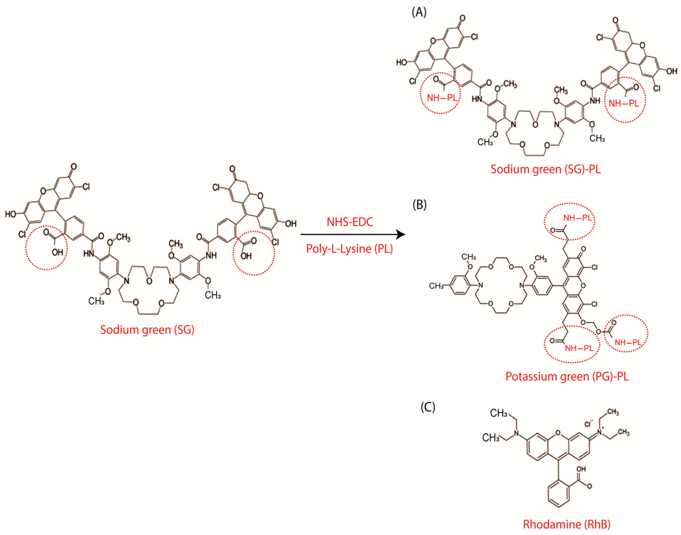 Biosensors 15 00532 g002