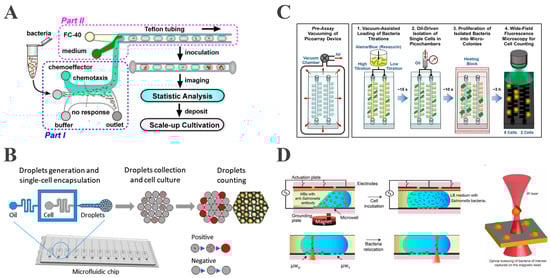 Biosensors 15 00535 g001