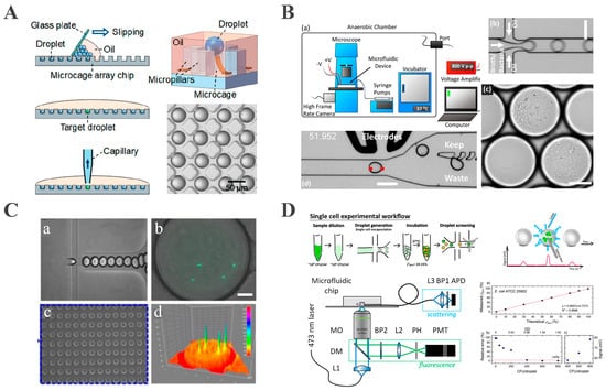 Biosensors 15 00535 g003