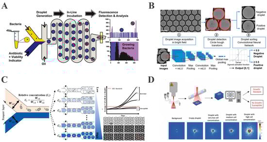 Biosensors 15 00535 g004