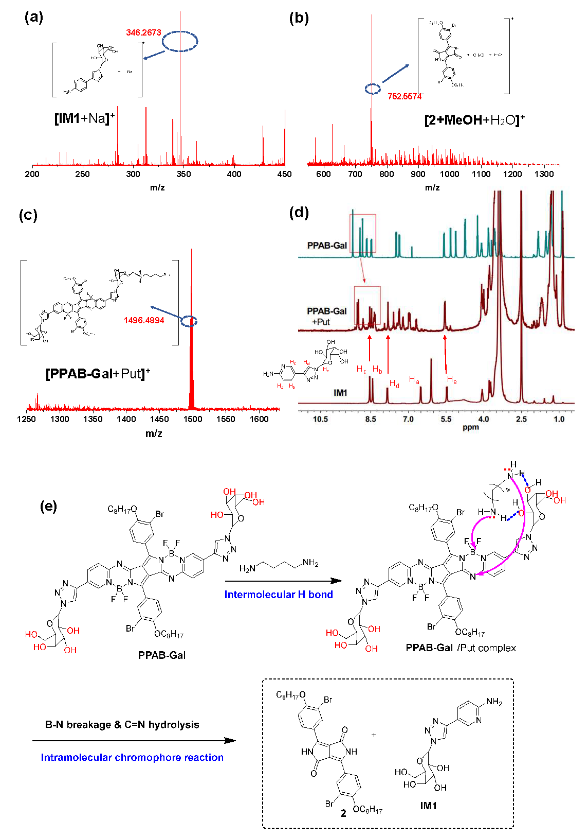 Biosensors 15 00542 g004 Biosensors 15 00542 g004