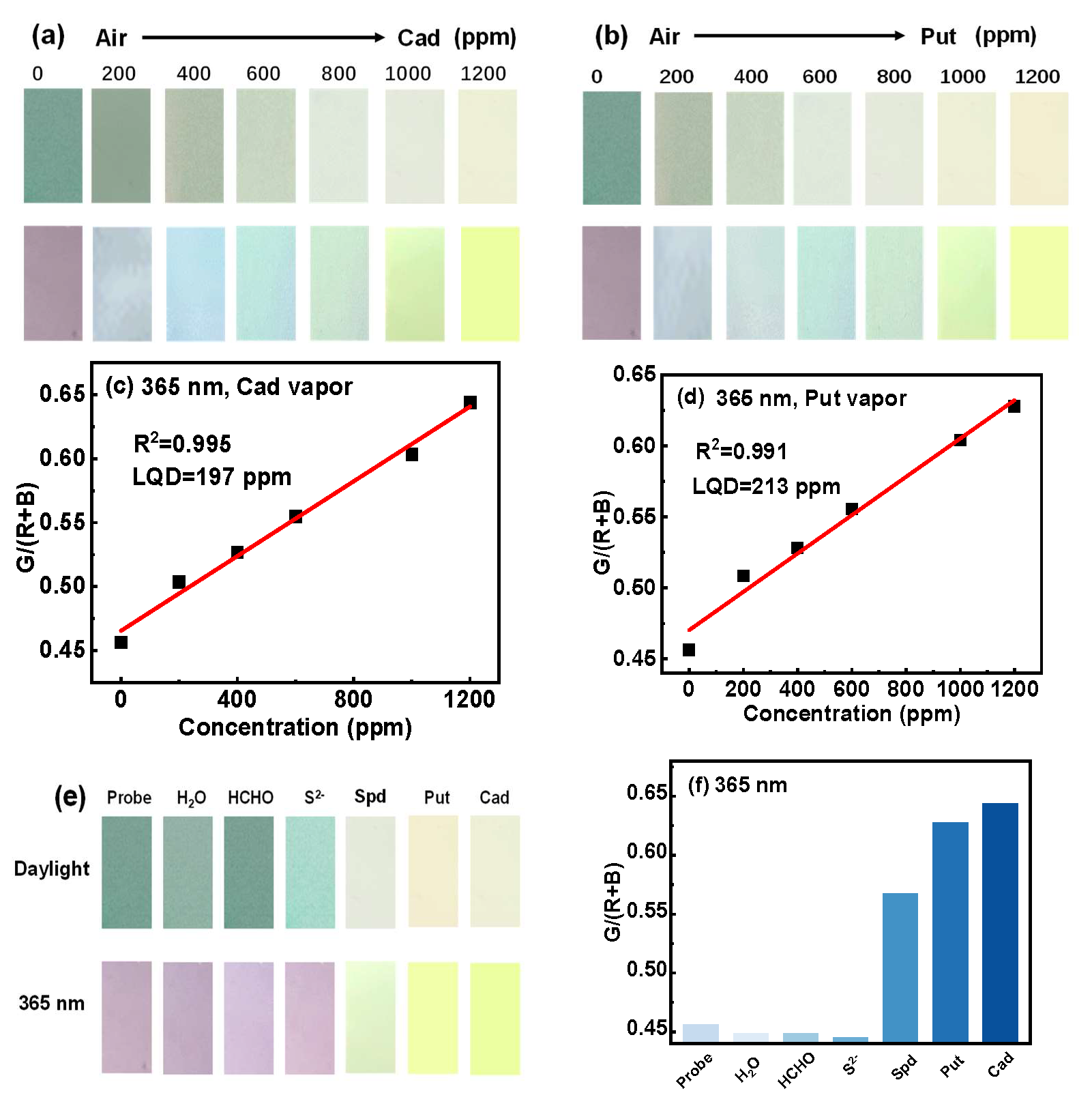 Biosensors 15 00542 g005 Biosensors 15 00542 g005