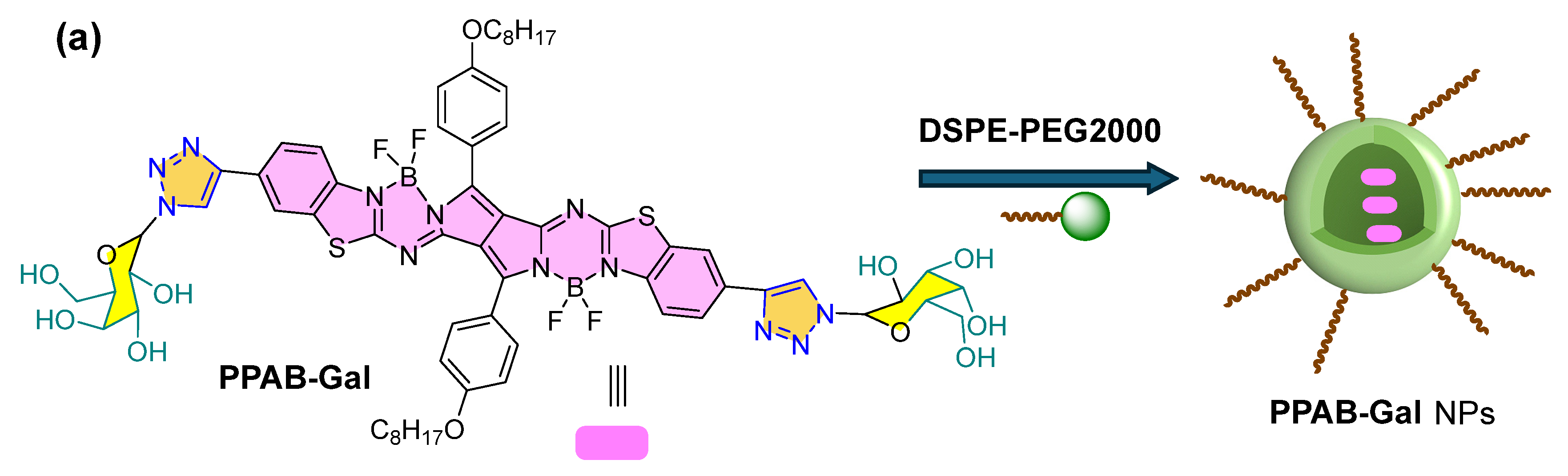 Biosensors 15 00542 g007a Biosensors 15 00542 g007a