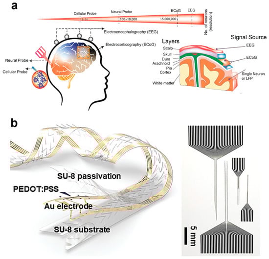 Biosensors 15 00543 g003