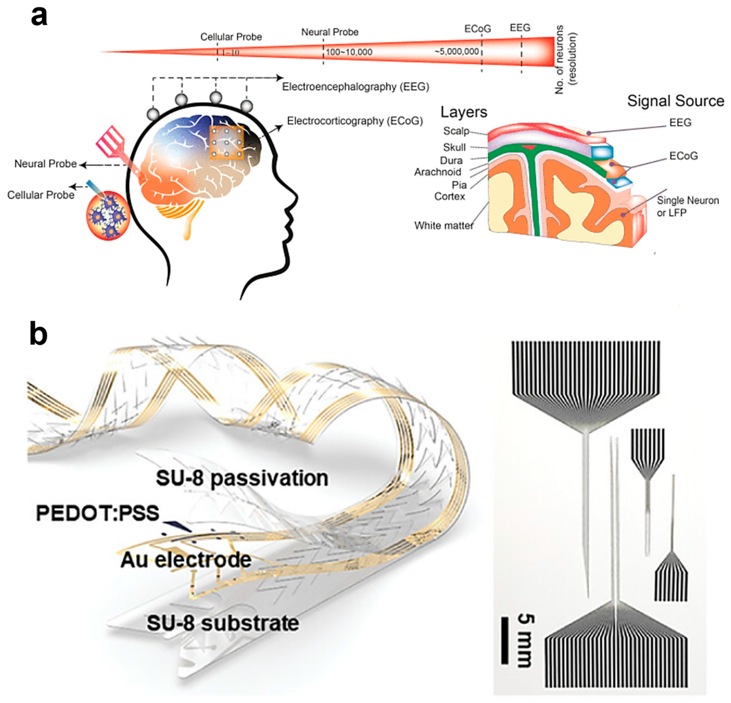 Biosensors 15 00543 g003