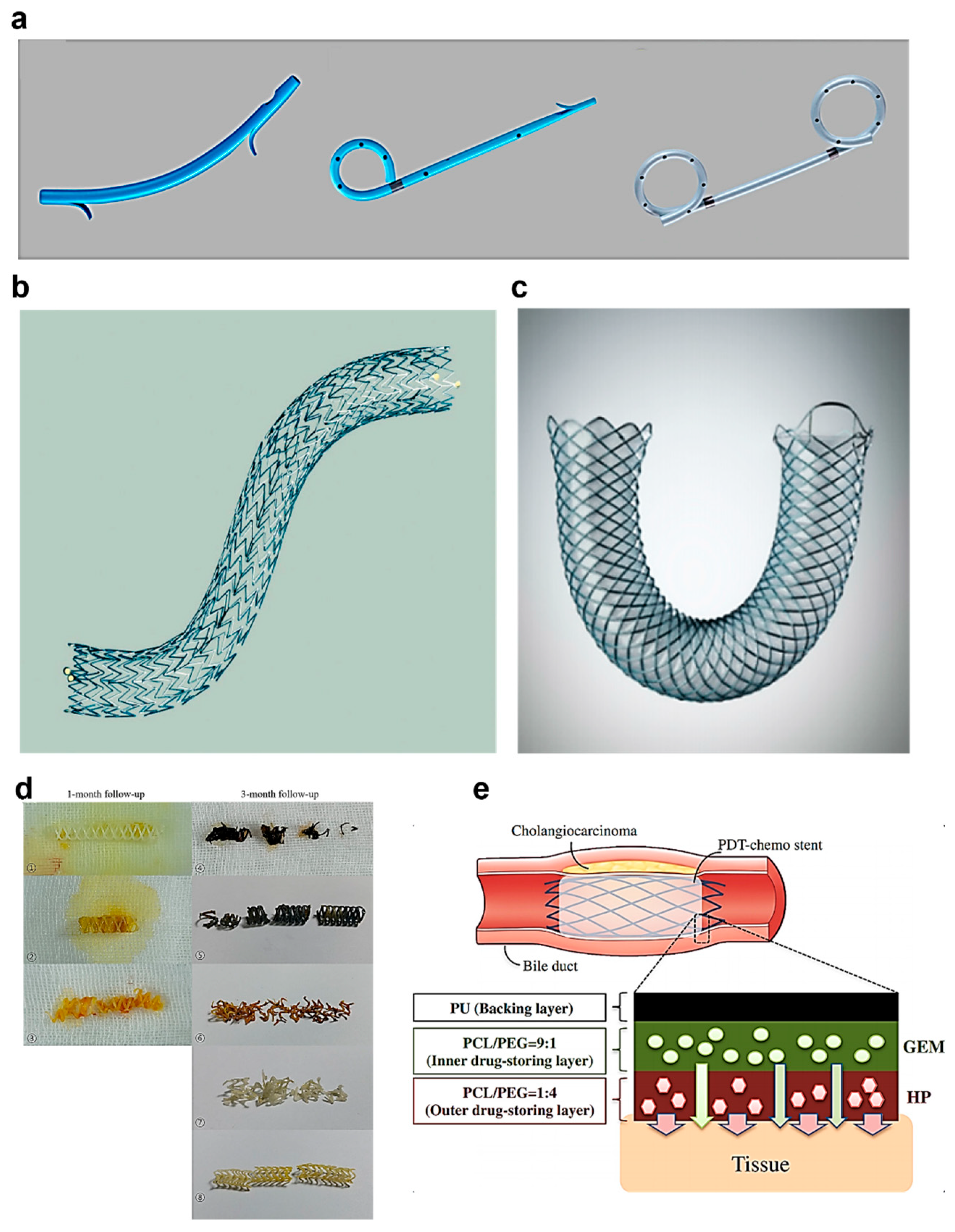 Biosensors 15 00543 g006