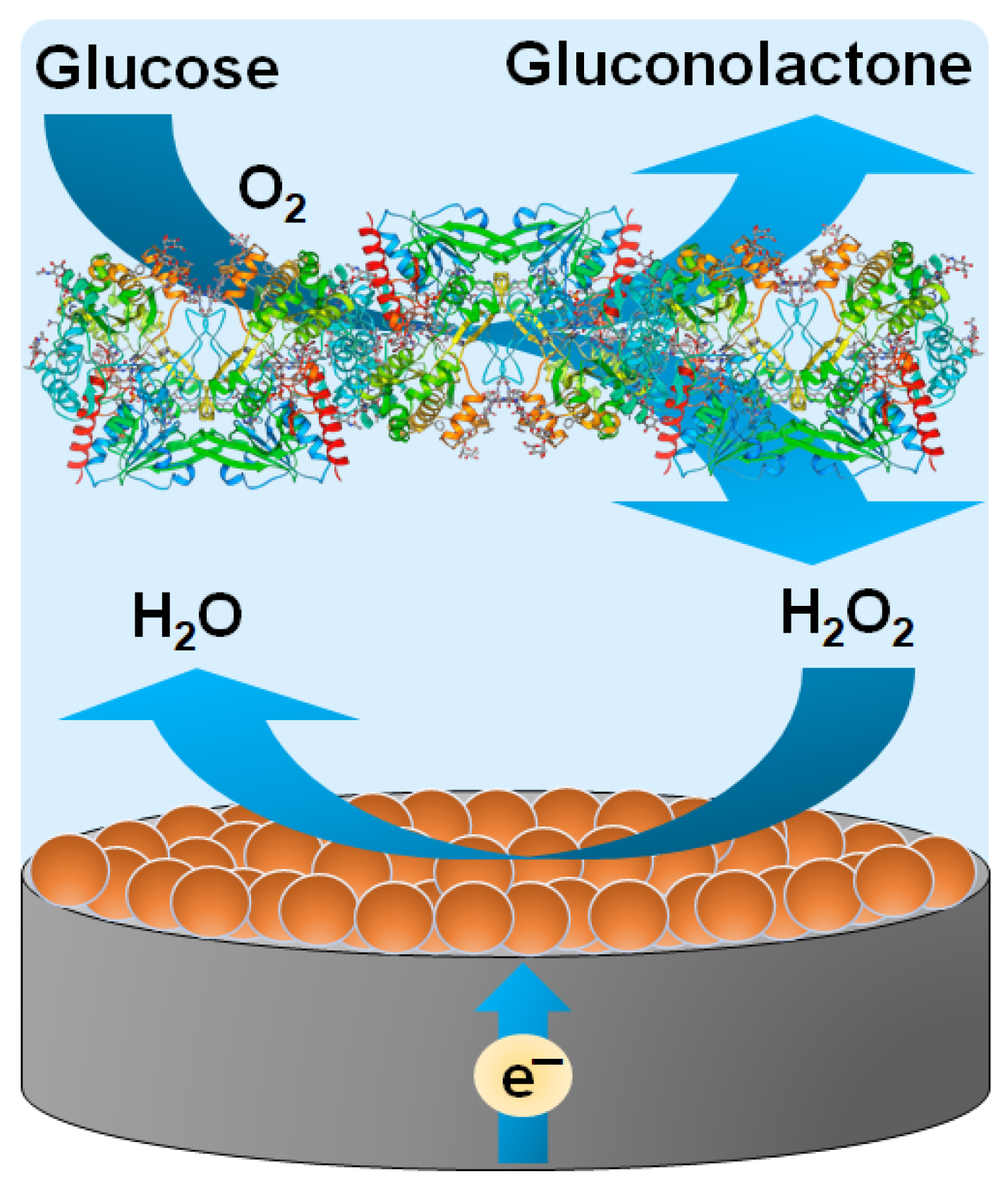 Biosensors 15 00545 g001