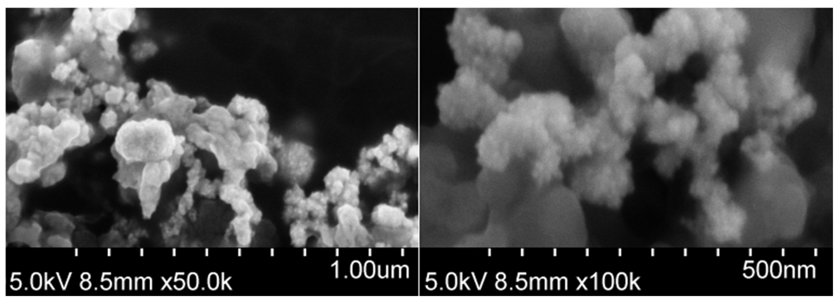 Biosensors 15 00545 g002