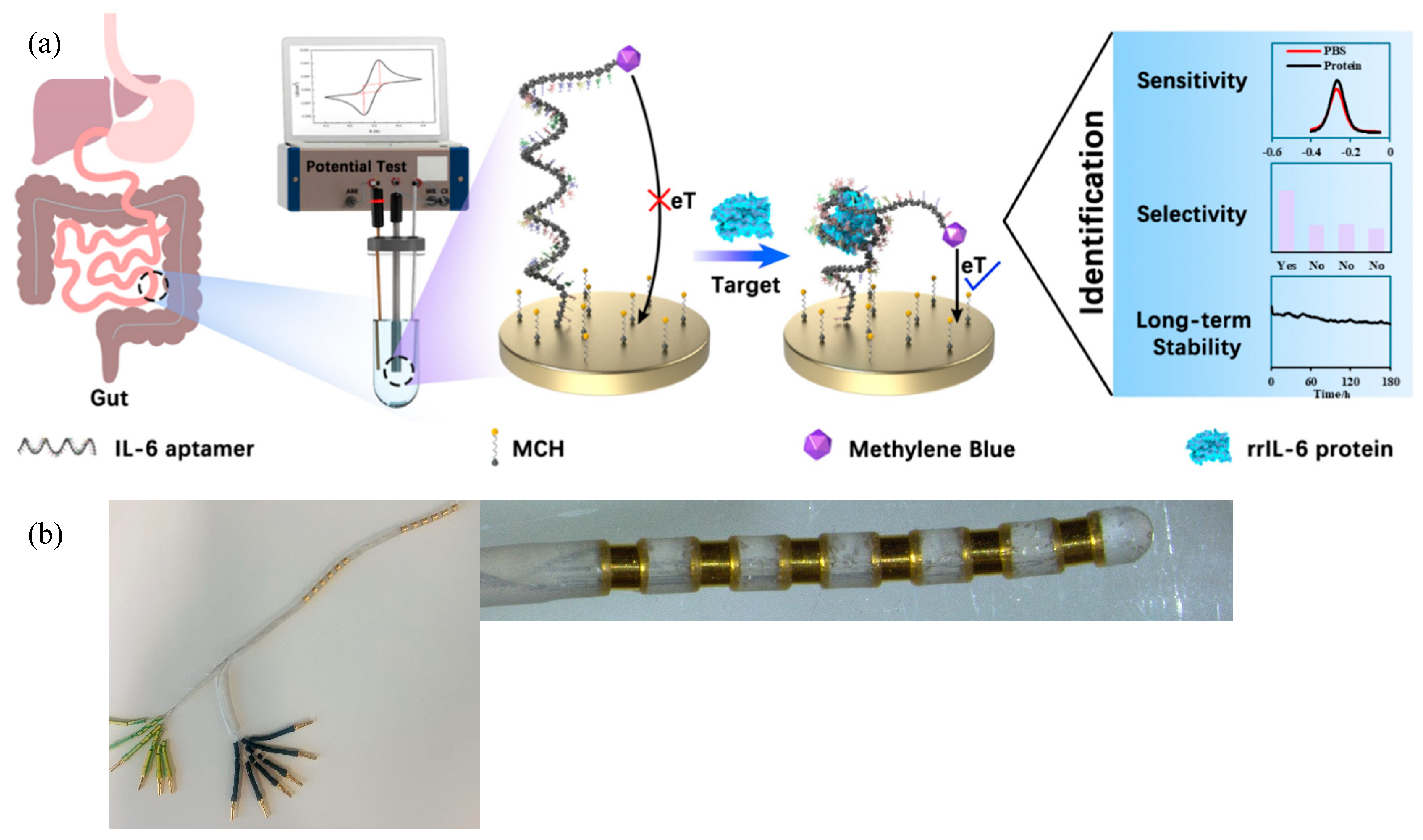 Biosensors 15 00546 g001
