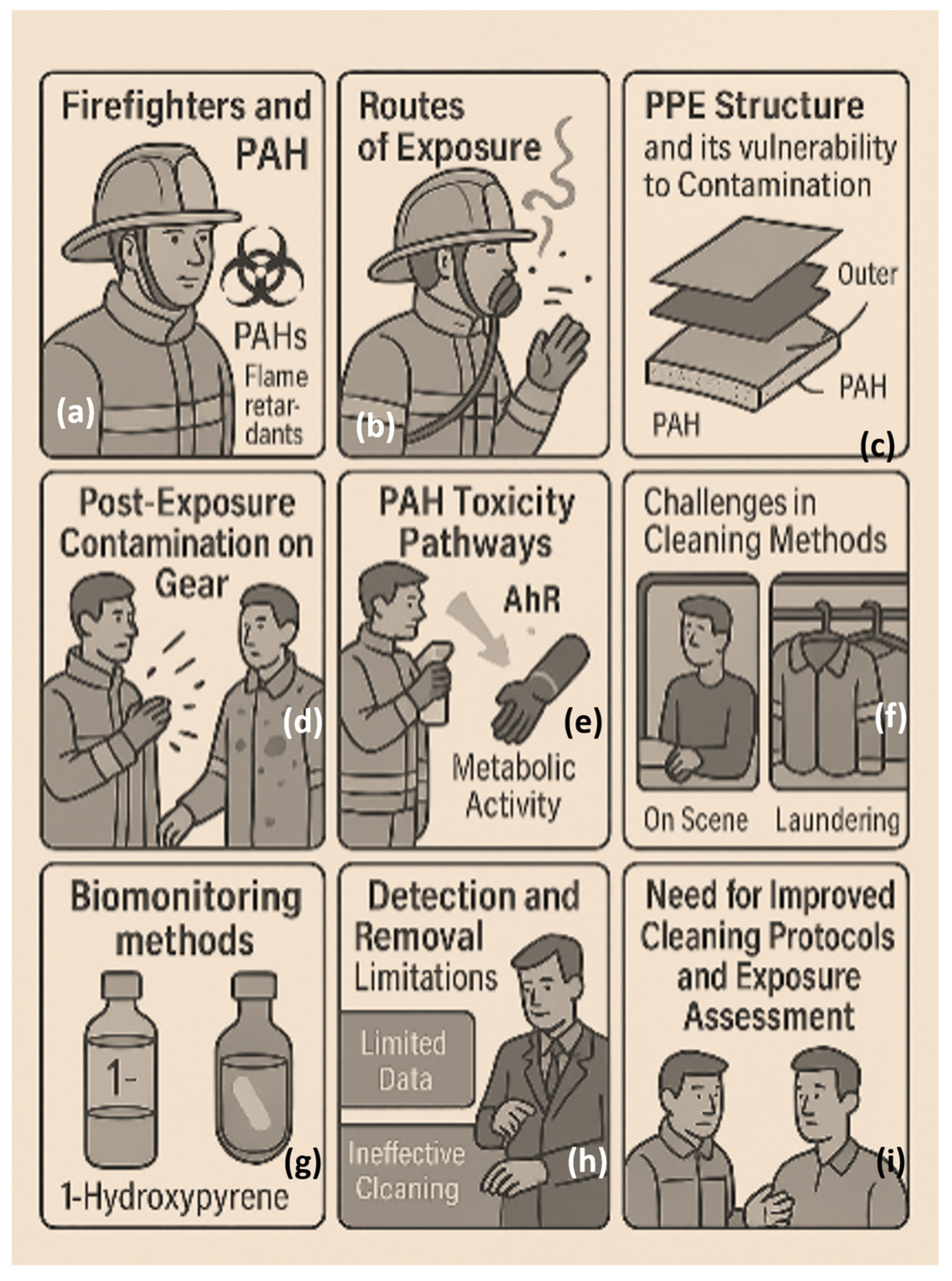 Biosensors 15 00547 g003