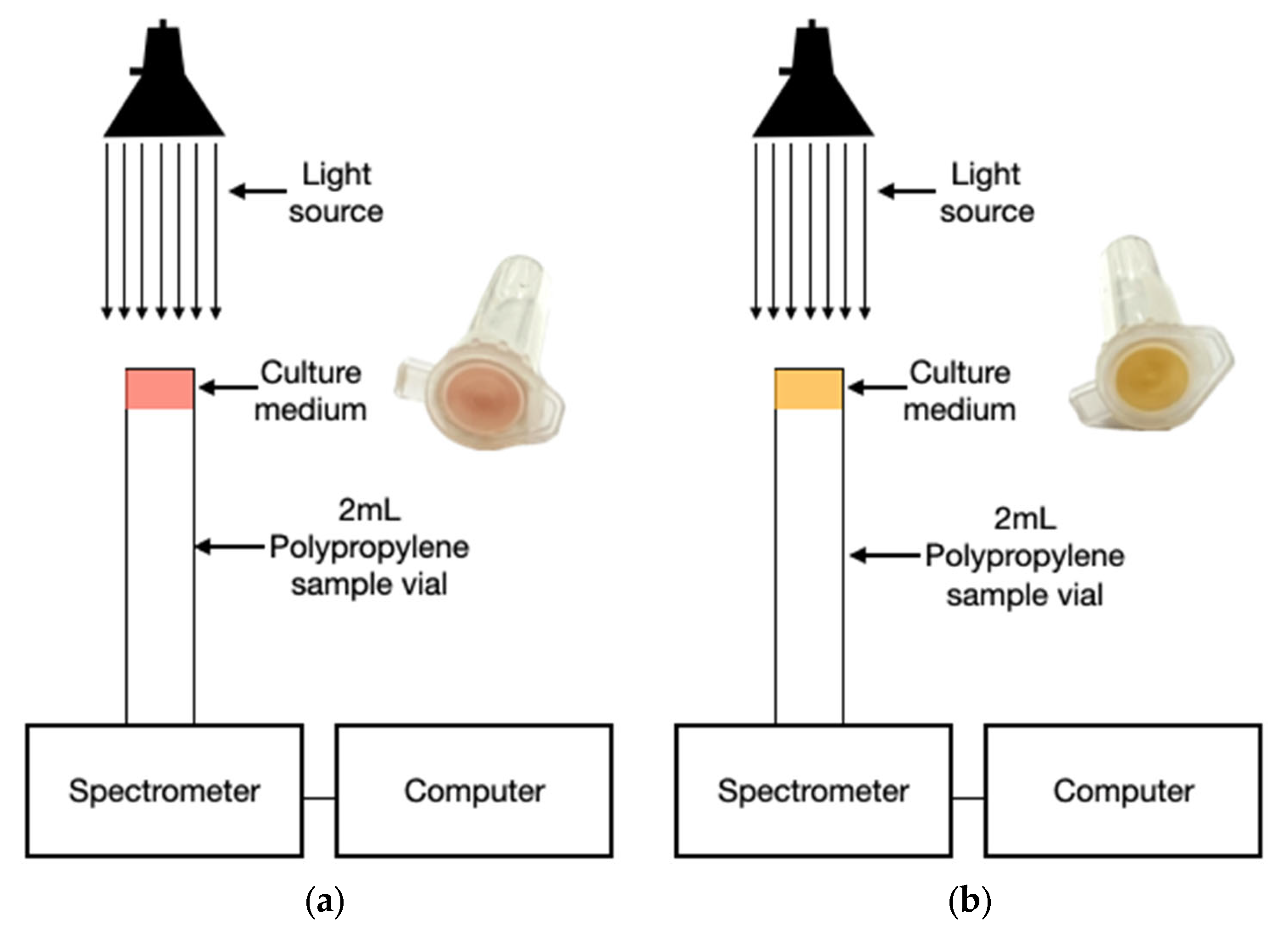 Biosensors 15 00551 g002