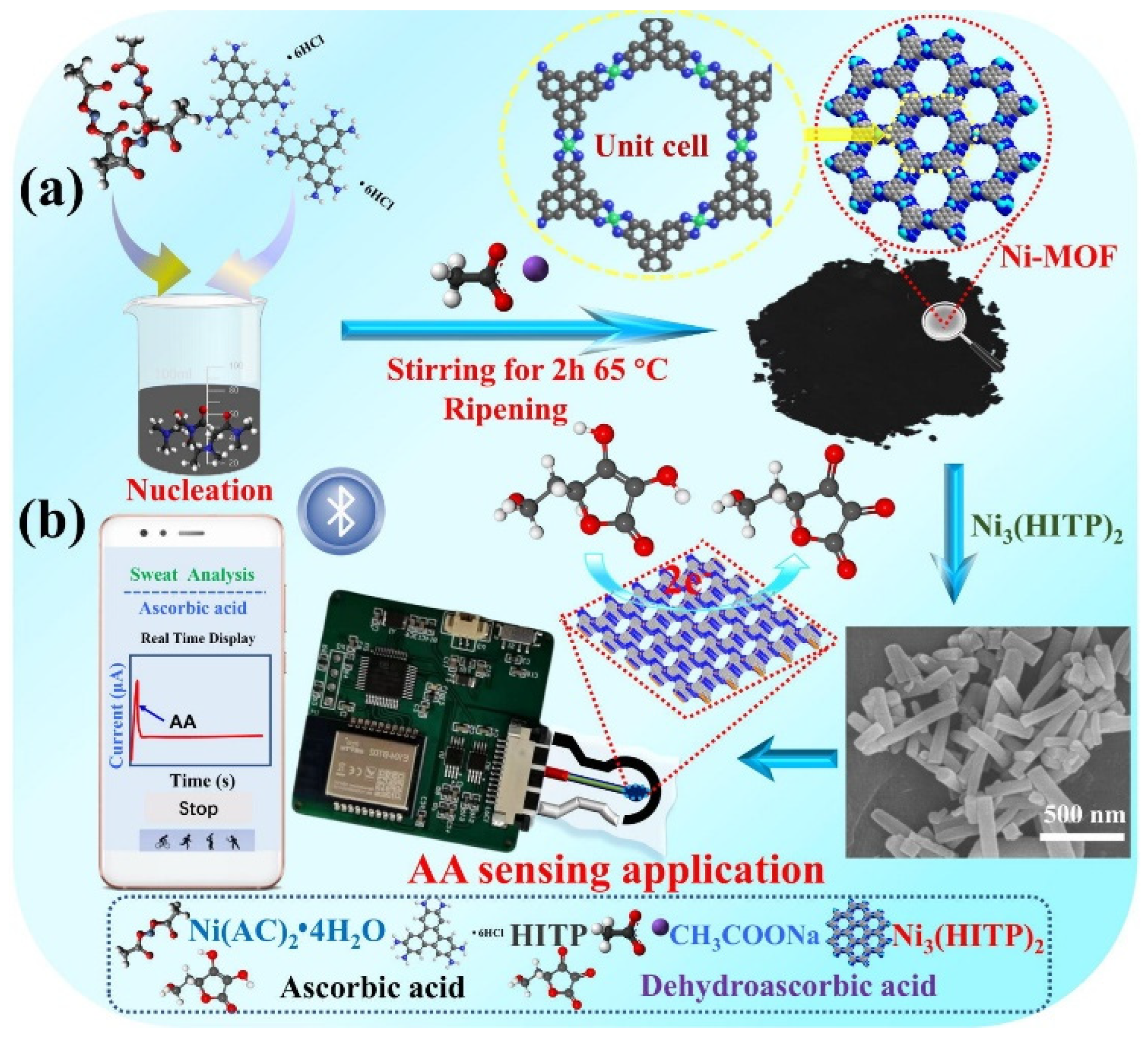 Biosensors 15 00560 g001