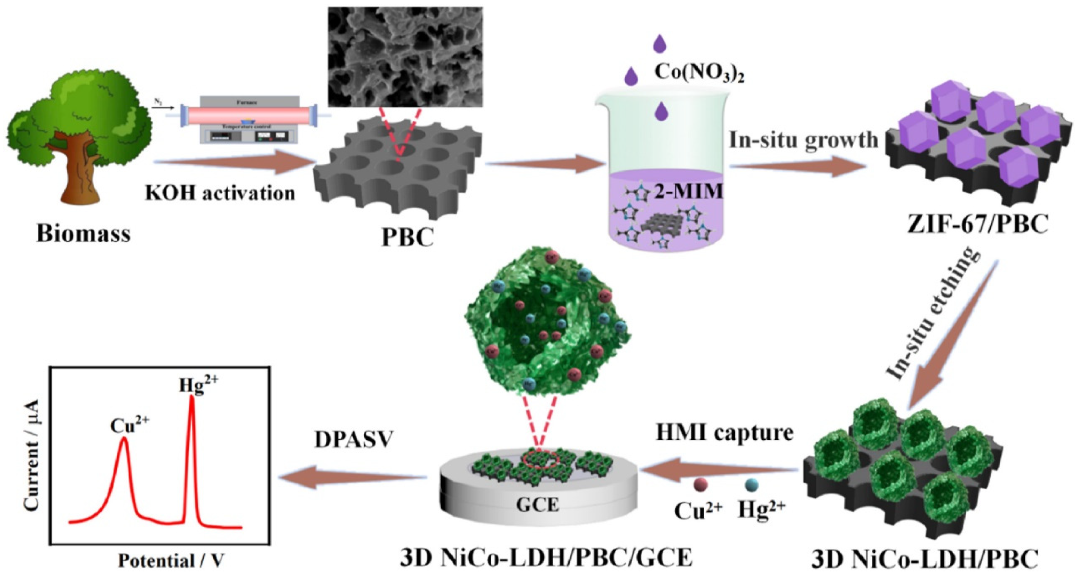Biosensors 15 00560 g003