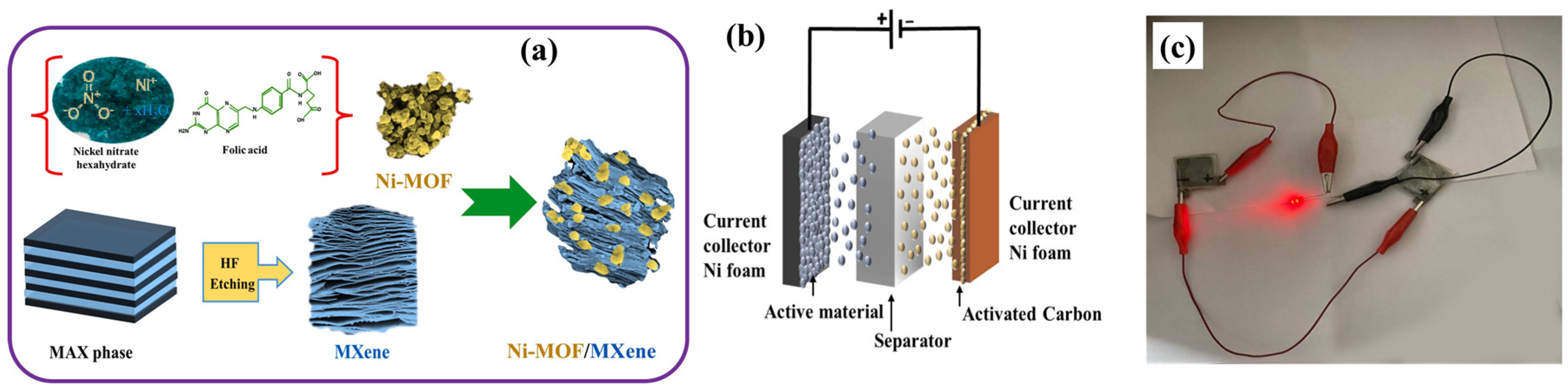 Biosensors 15 00560 g008