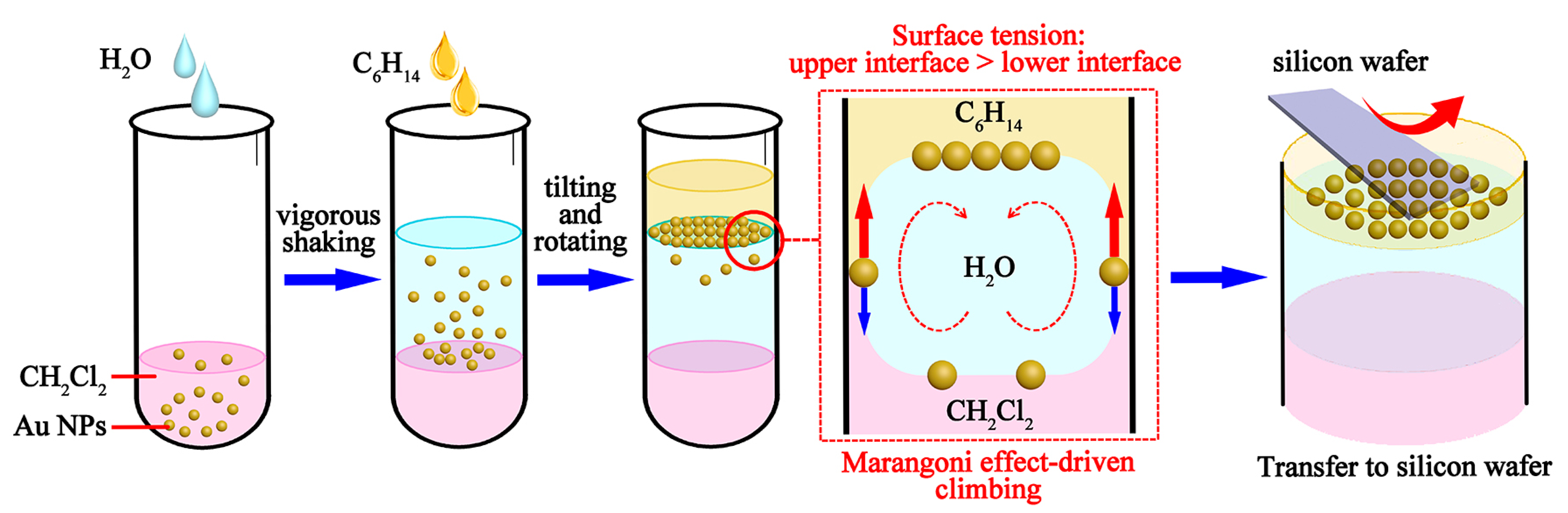 Biosensors 15 00568 g001