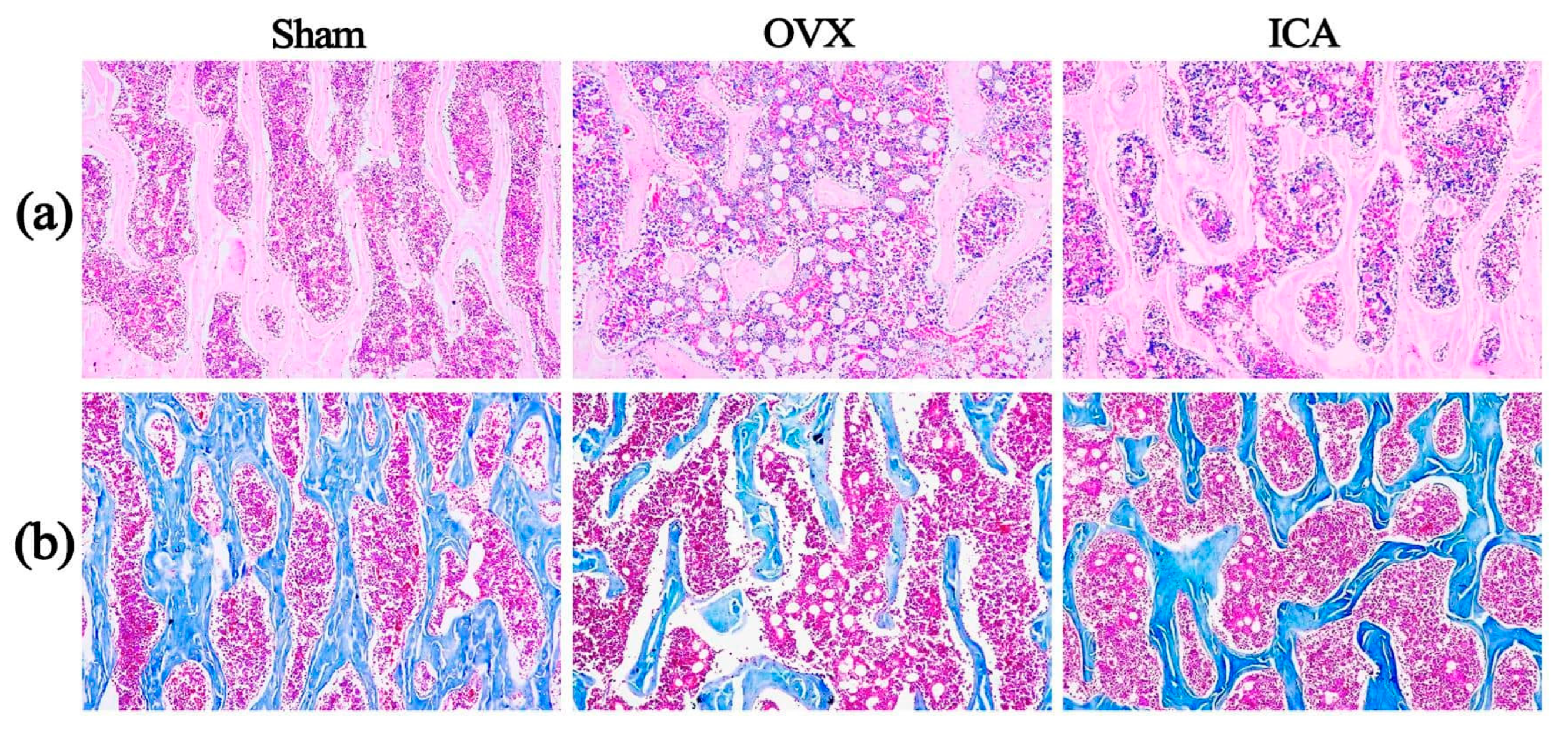 Biosensors 15 00568 g002