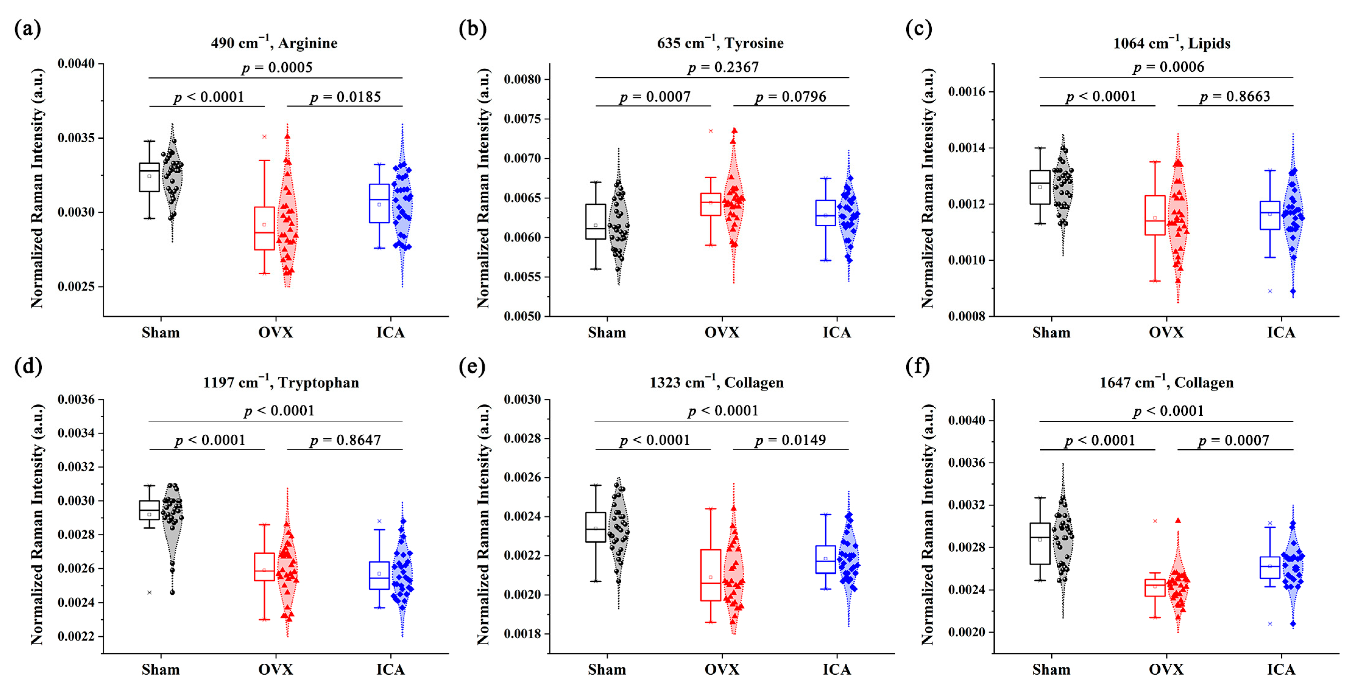 Biosensors 15 00568 g005